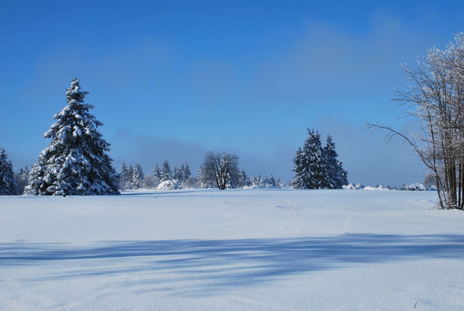 Nikon D60 sample photo. Winter, snow, white photography