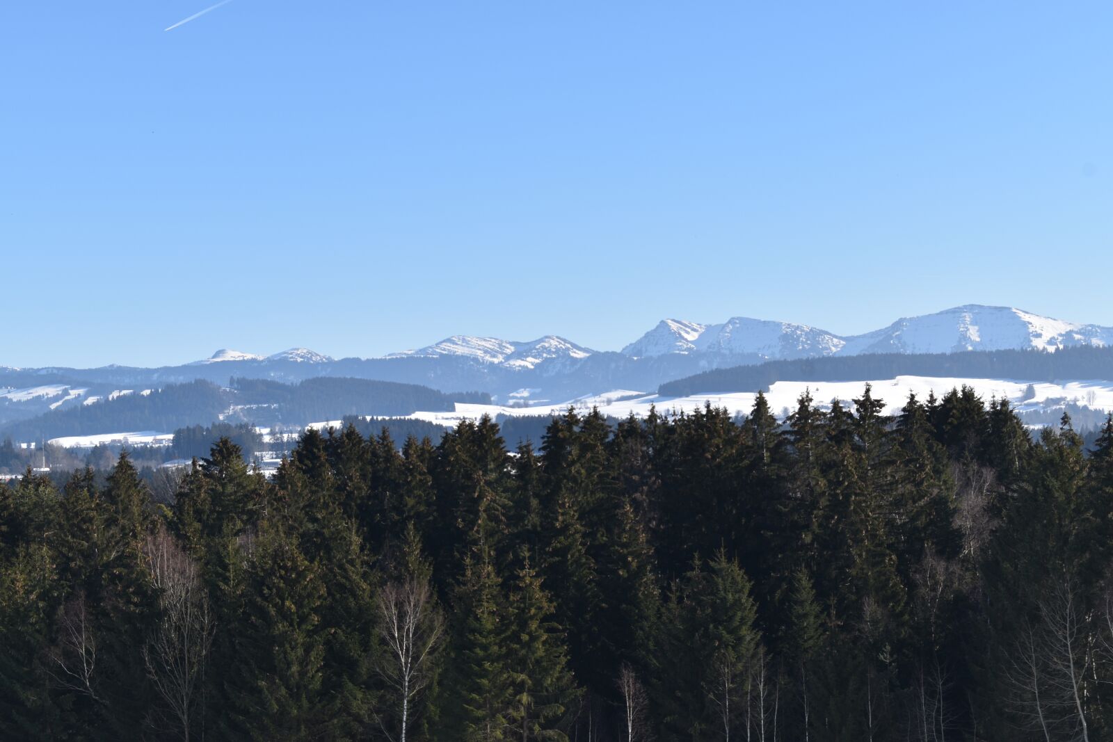 Nikon D3500 sample photo. Winter, forest, mountains photography