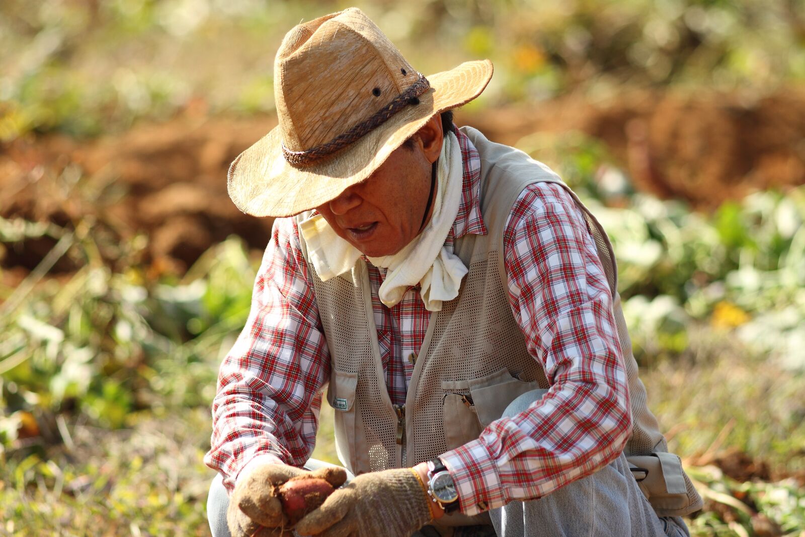 Canon EOS 500D (EOS Rebel T1i / EOS Kiss X3) sample photo. Straw hat, farmer, sweet photography