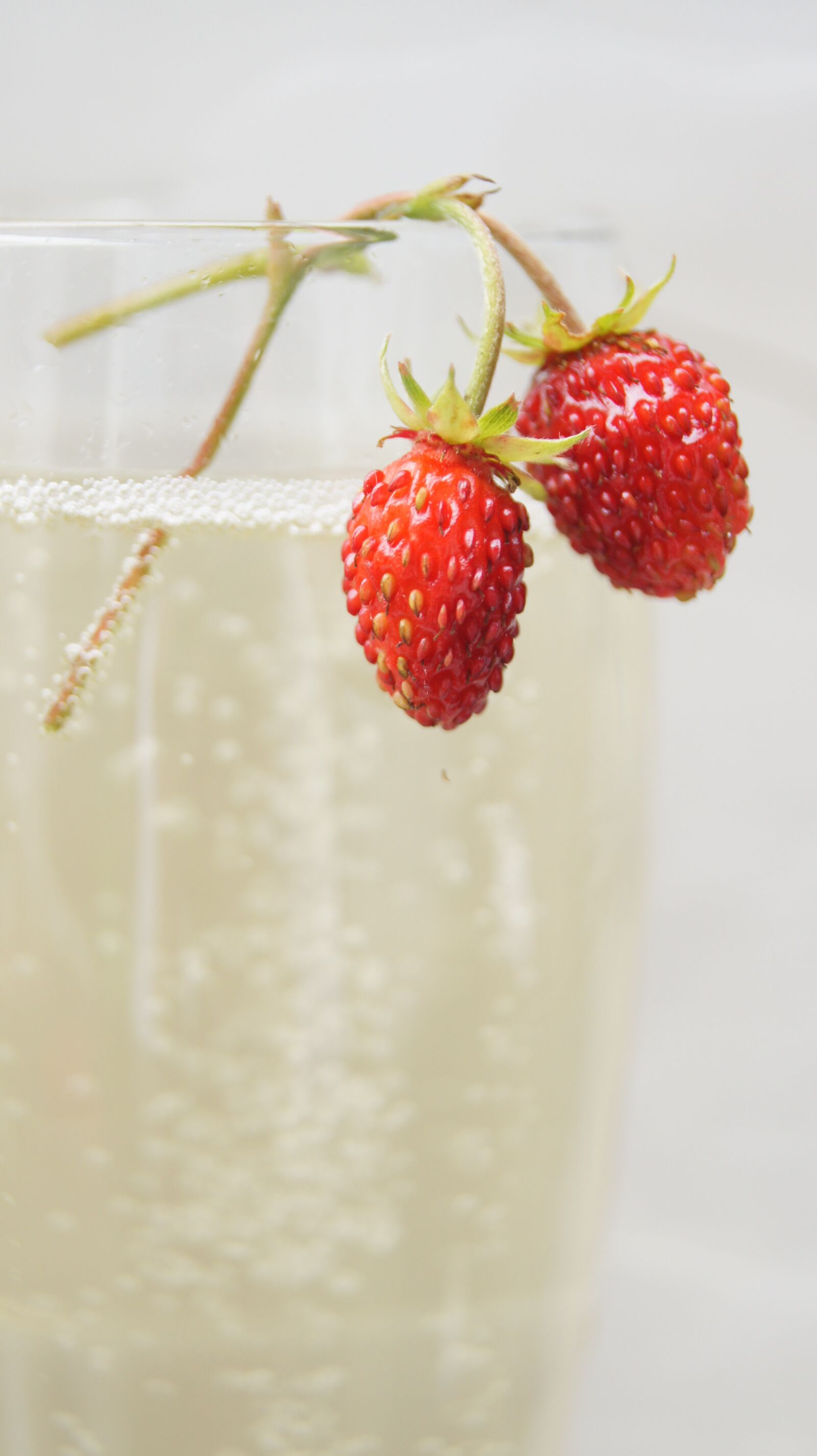 Sony Alpha DSLR-A550 sample photo. Champagne, strawberries, food photography