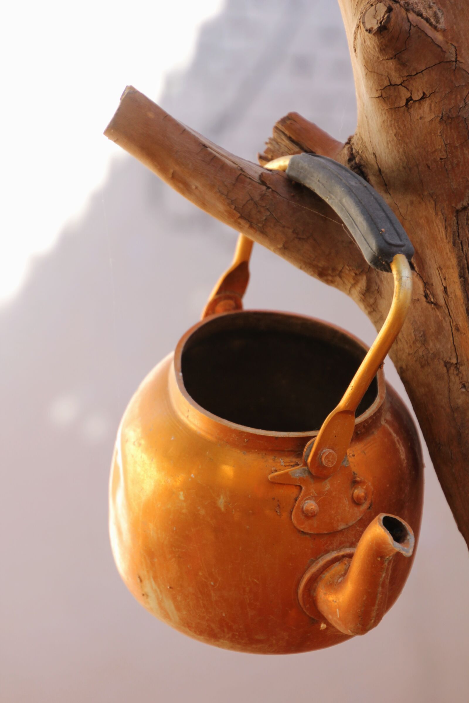 Canon EOS 60D sample photo. Water, water jug, teapot photography