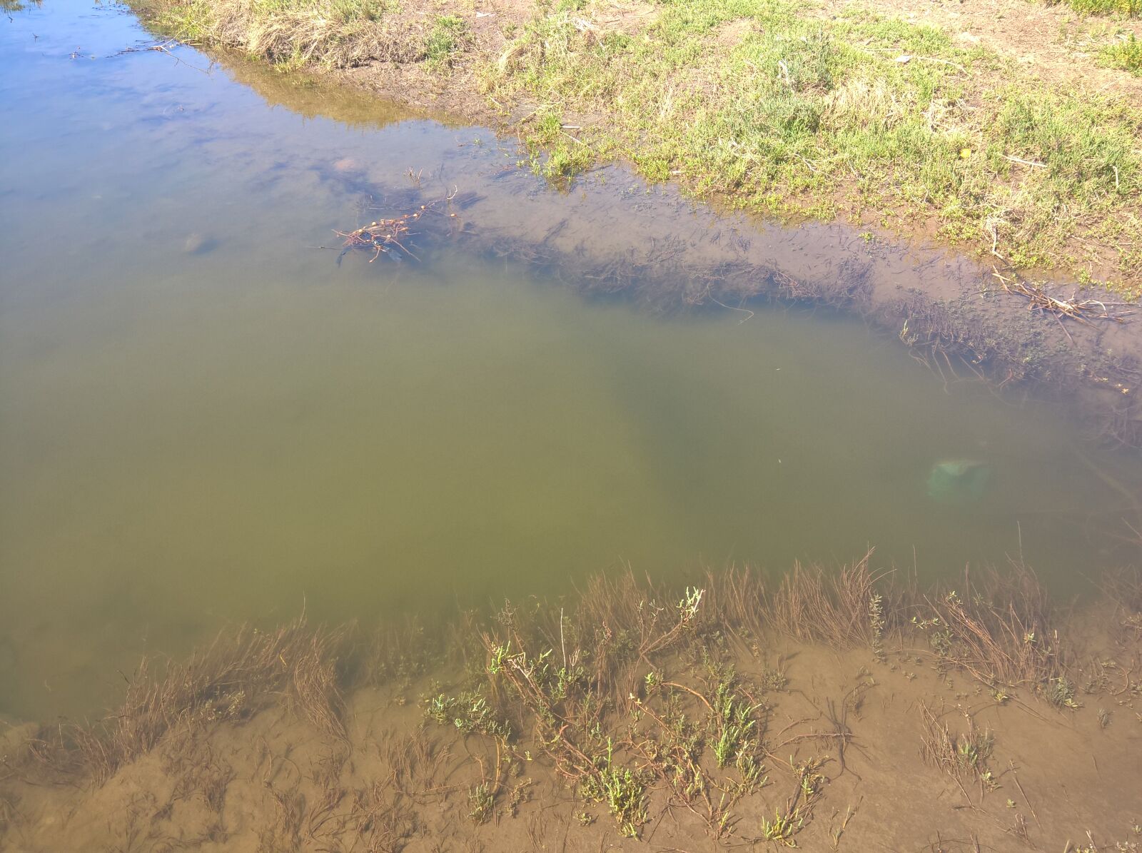 Microsoft Lumia 640 XL sample photo. River photography