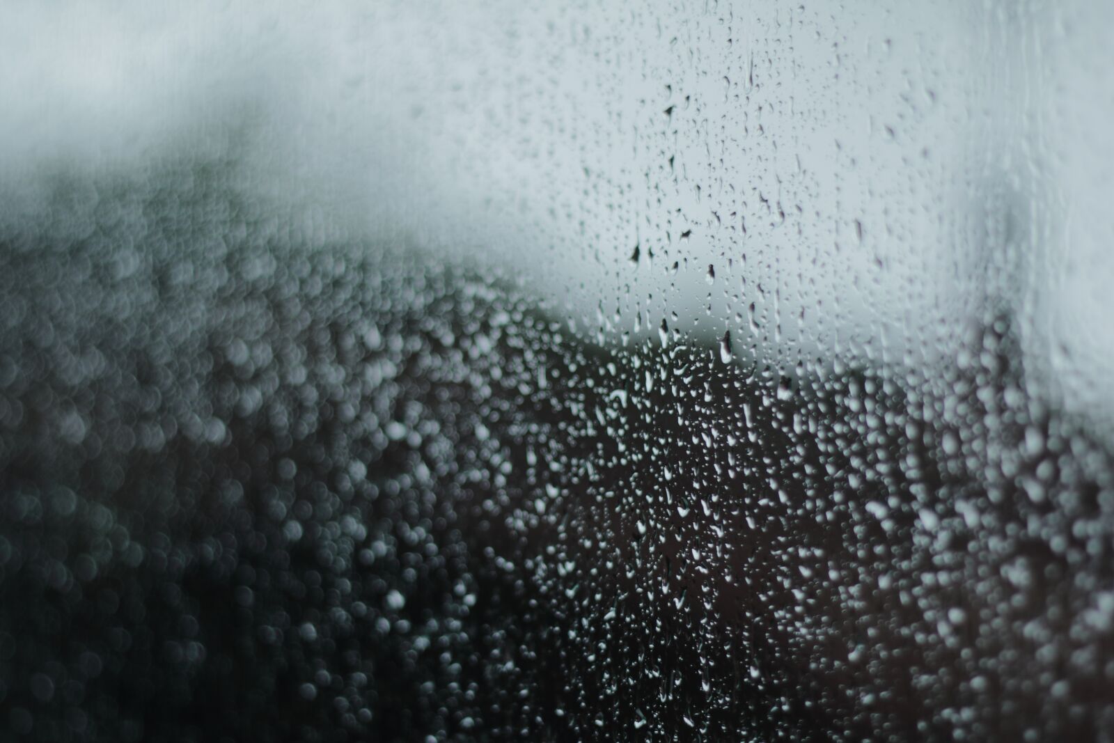 Canon EF 50mm F1.8 II sample photo. Background, weather, rain photography