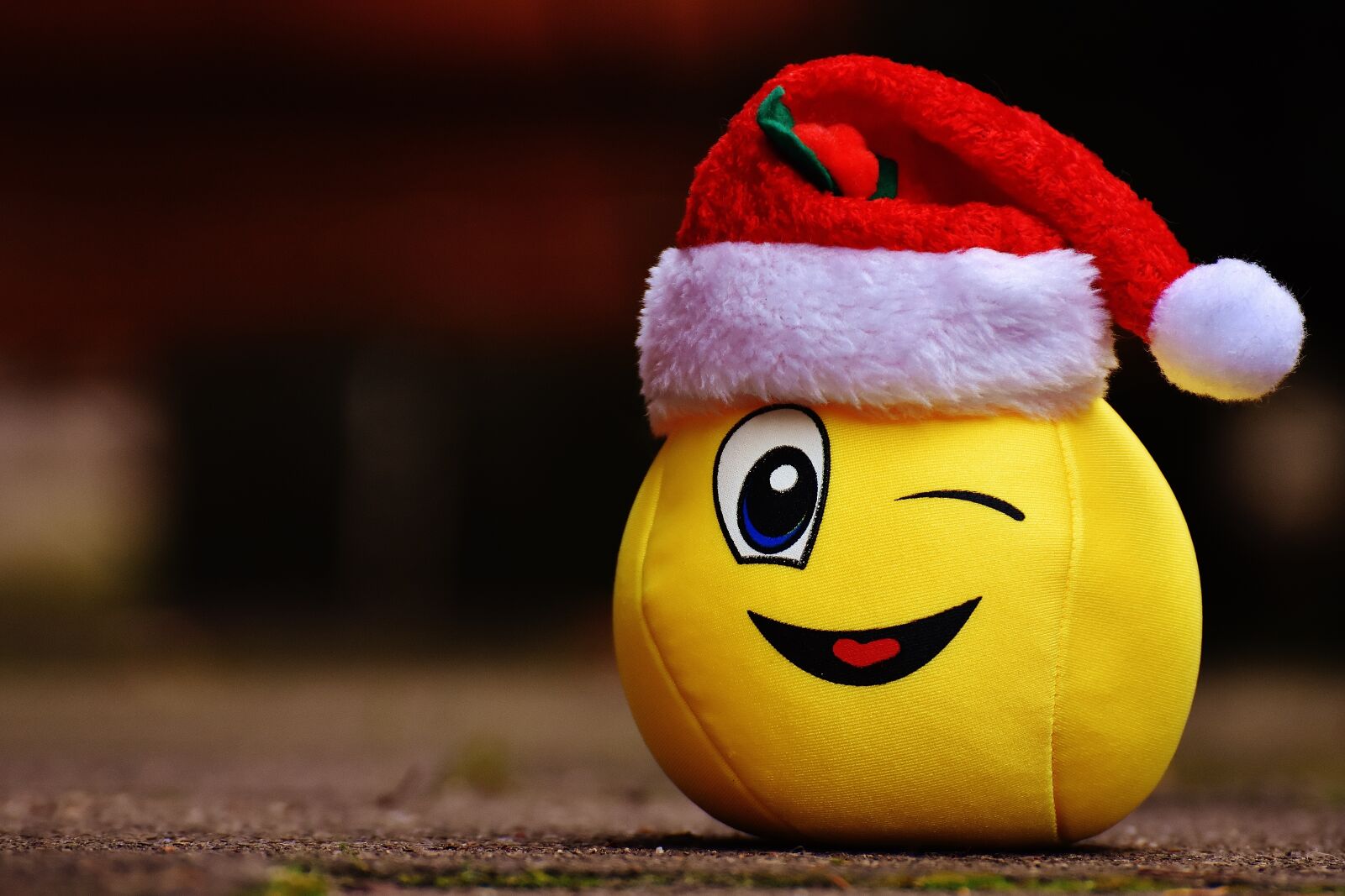 Nikon D7200 sample photo. Christmas, smiley, funny photography