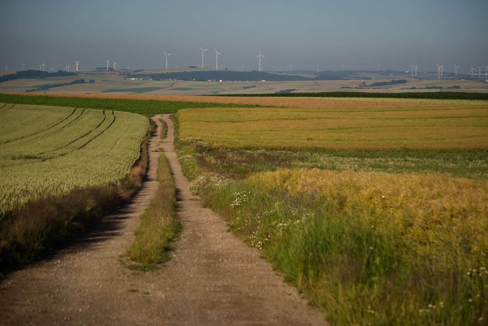 Nikon D5500 sample photo. Field, away, landscape photography