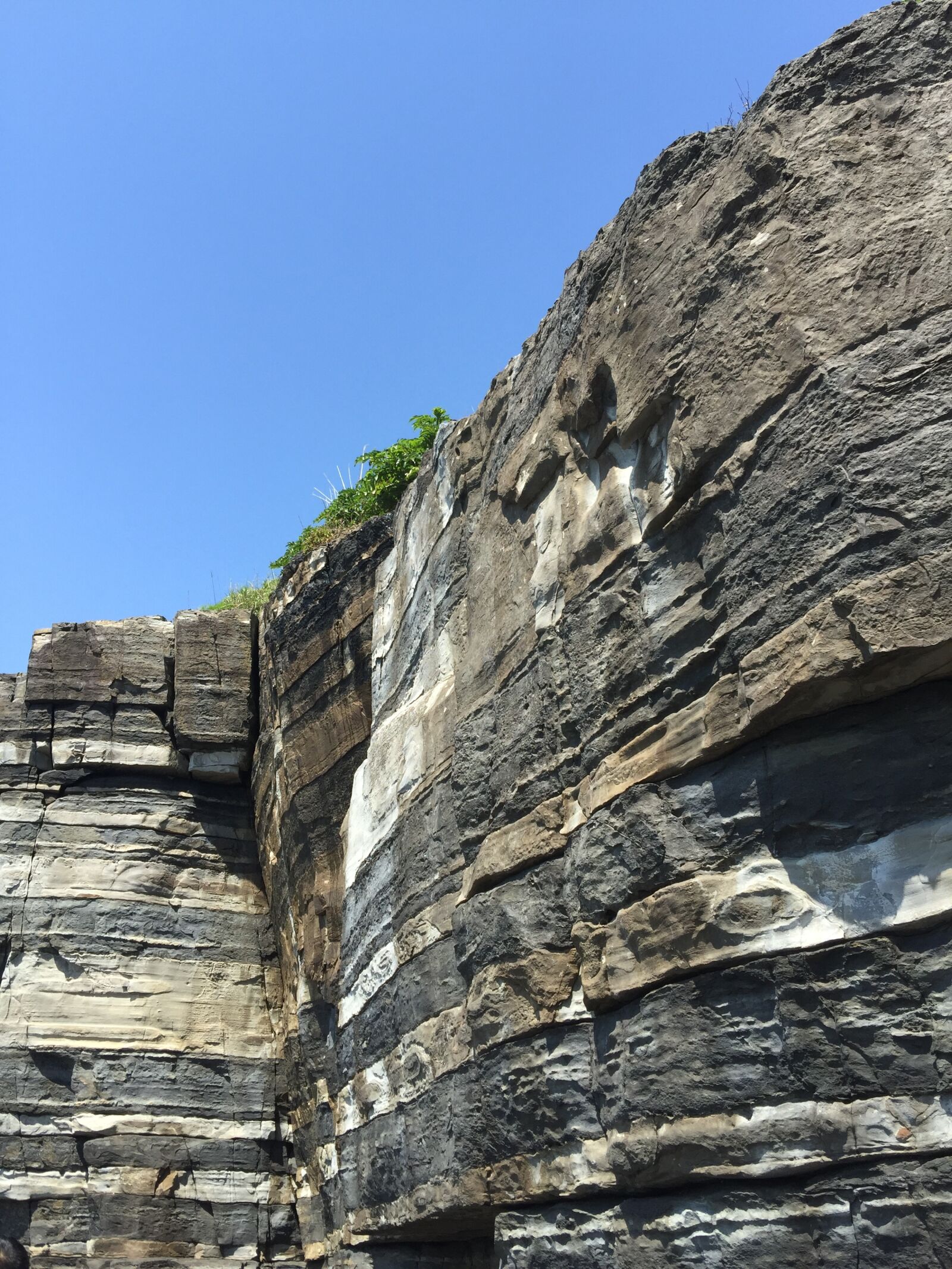 iPhone 6 Plus back camera 4.15mm f/2.2 sample photo. Yamaguchi, home health, fossil photography
