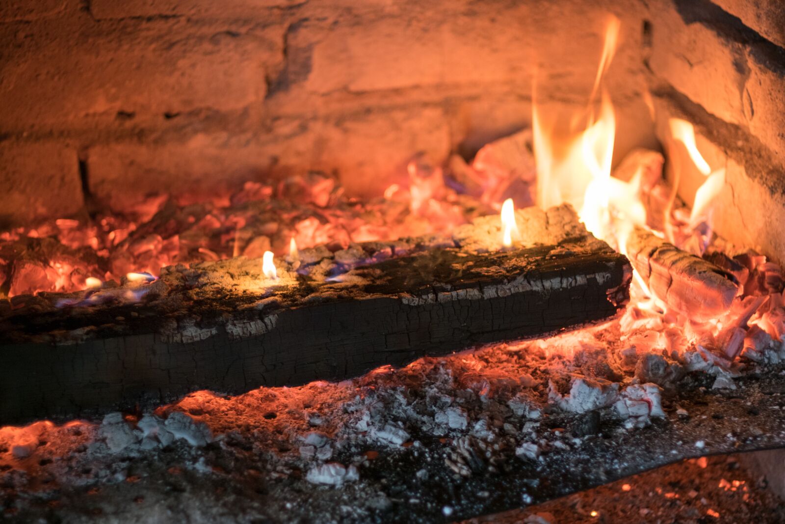 Fujifilm X-T10 sample photo. Grill, fire, the flame photography