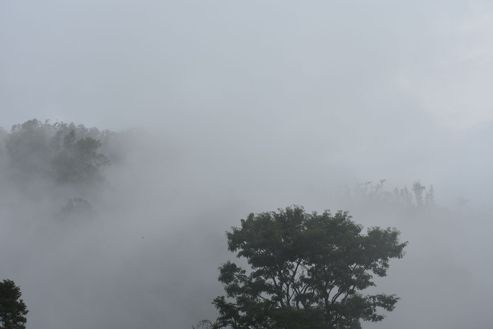 Nikon D3400 sample photo. Fog, nature, clouds photography