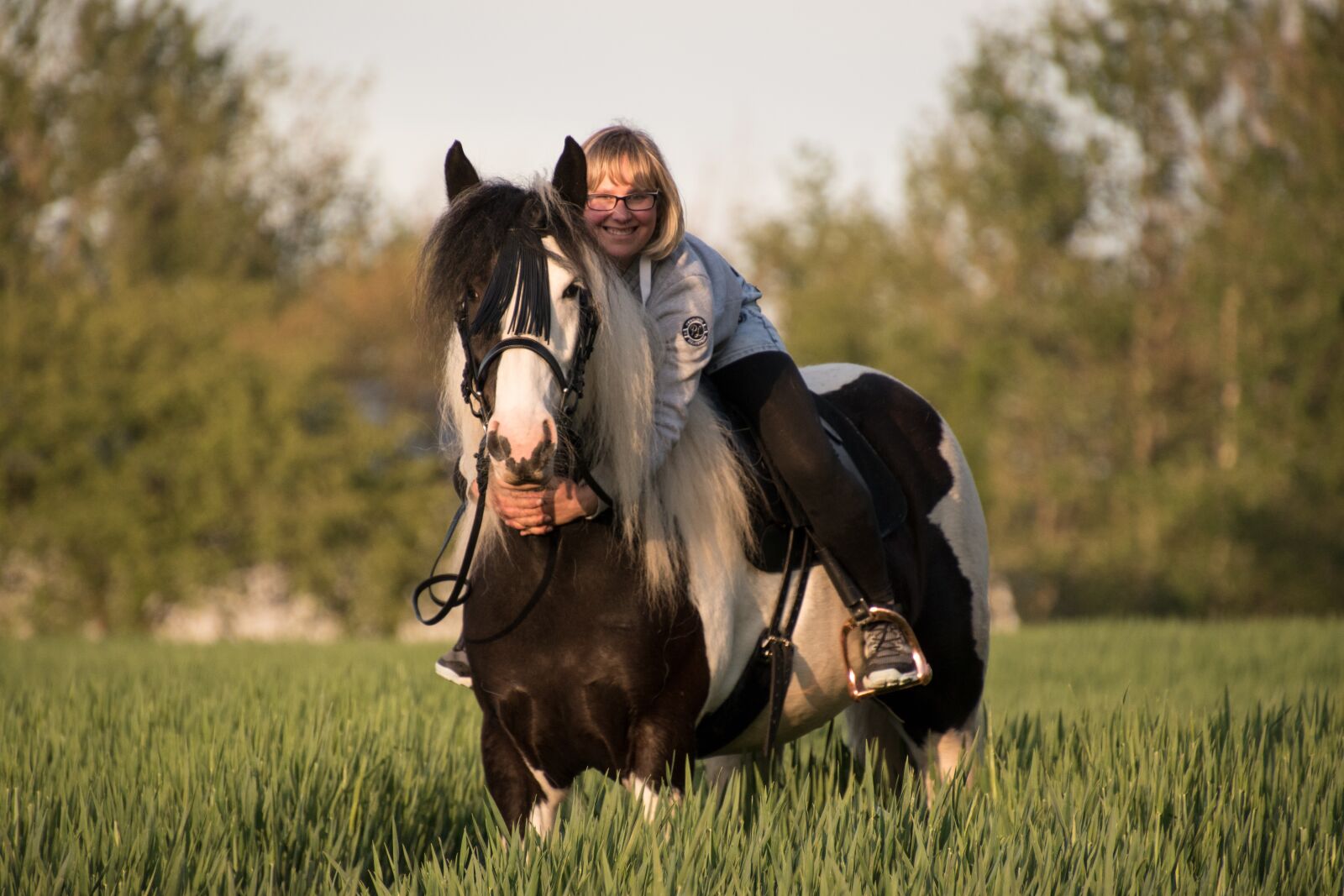 Nikon D5600 sample photo. Tinker, horse, animal photography