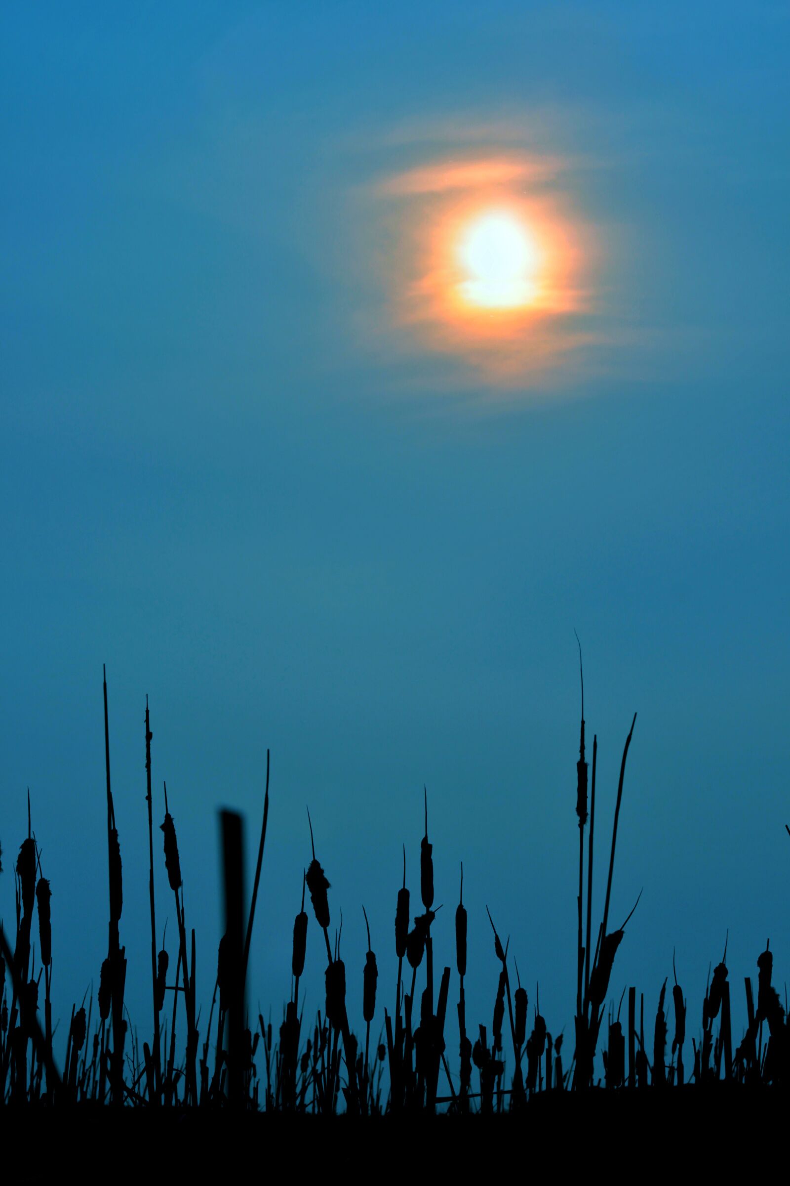 Canon EOS 500D (EOS Rebel T1i / EOS Kiss X3) sample photo. Sun, sunset, blue photography