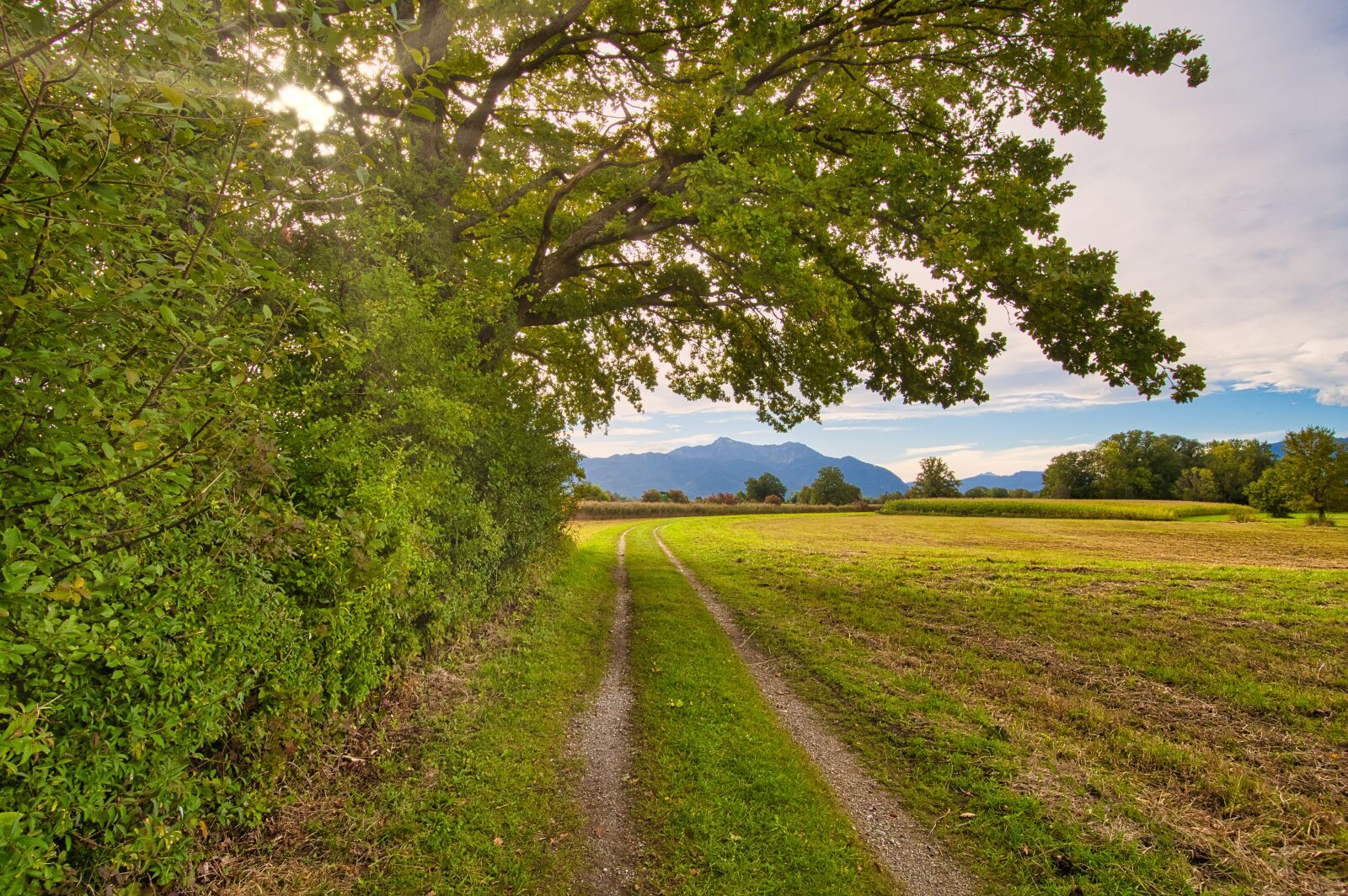 Nikon D7500 sample photo. Nature, field, trail photography