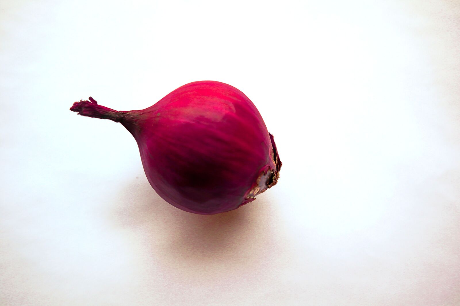Canon EF-M 15-45mm F3.5-6.3 IS STM sample photo. Onion, red onion, for photography
