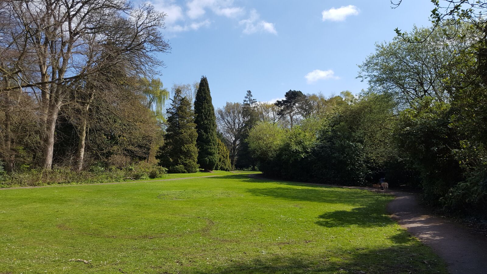 Samsung Galaxy S6 sample photo. Park, nature, trees photography