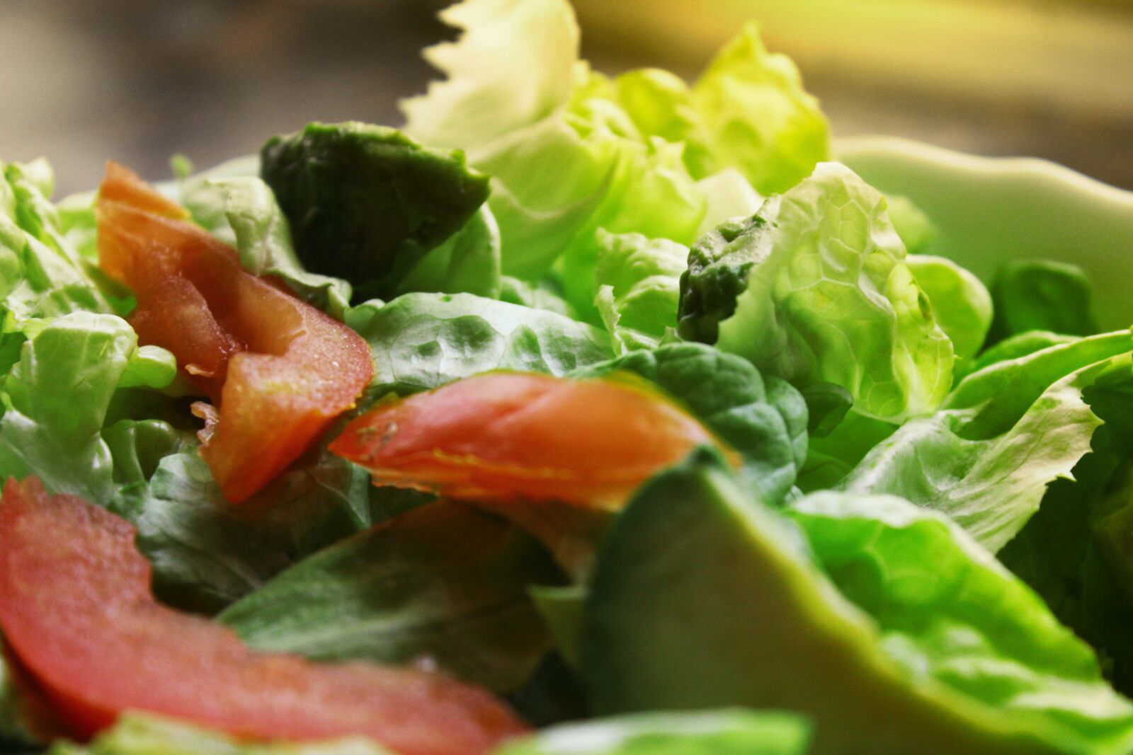 Canon EOS 600D (Rebel EOS T3i / EOS Kiss X5) sample photo. Salad, summer, tomato photography