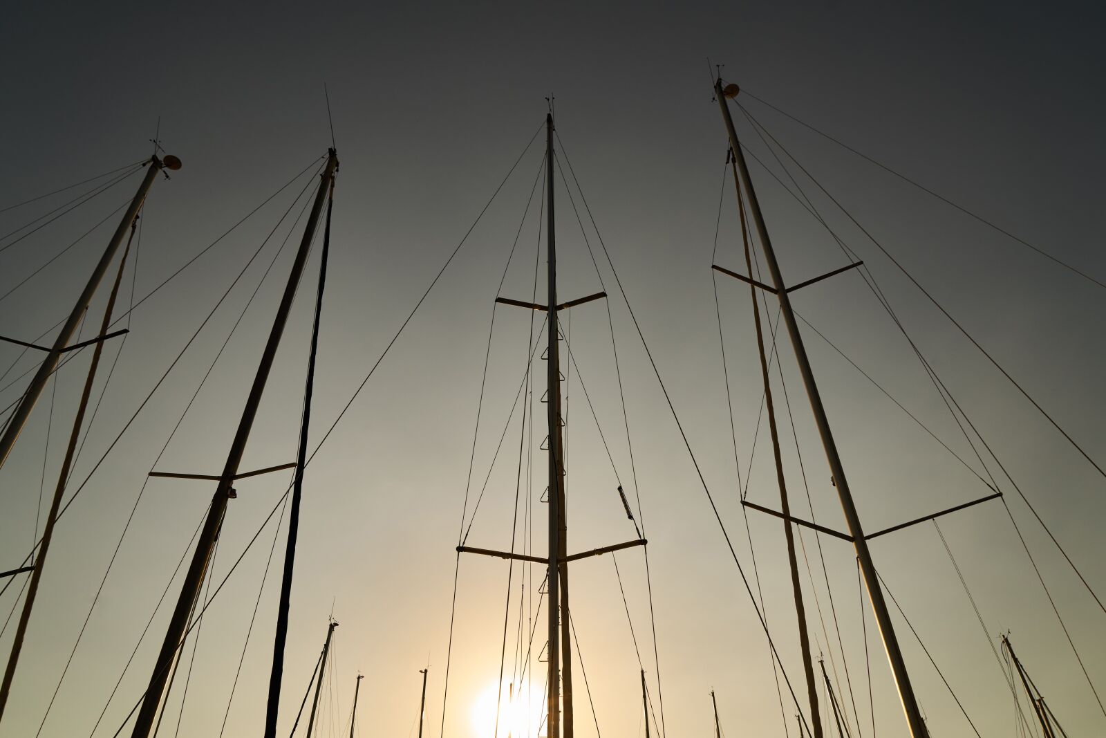 Sony a7R II sample photo. Sailboat, direct, sunset photography