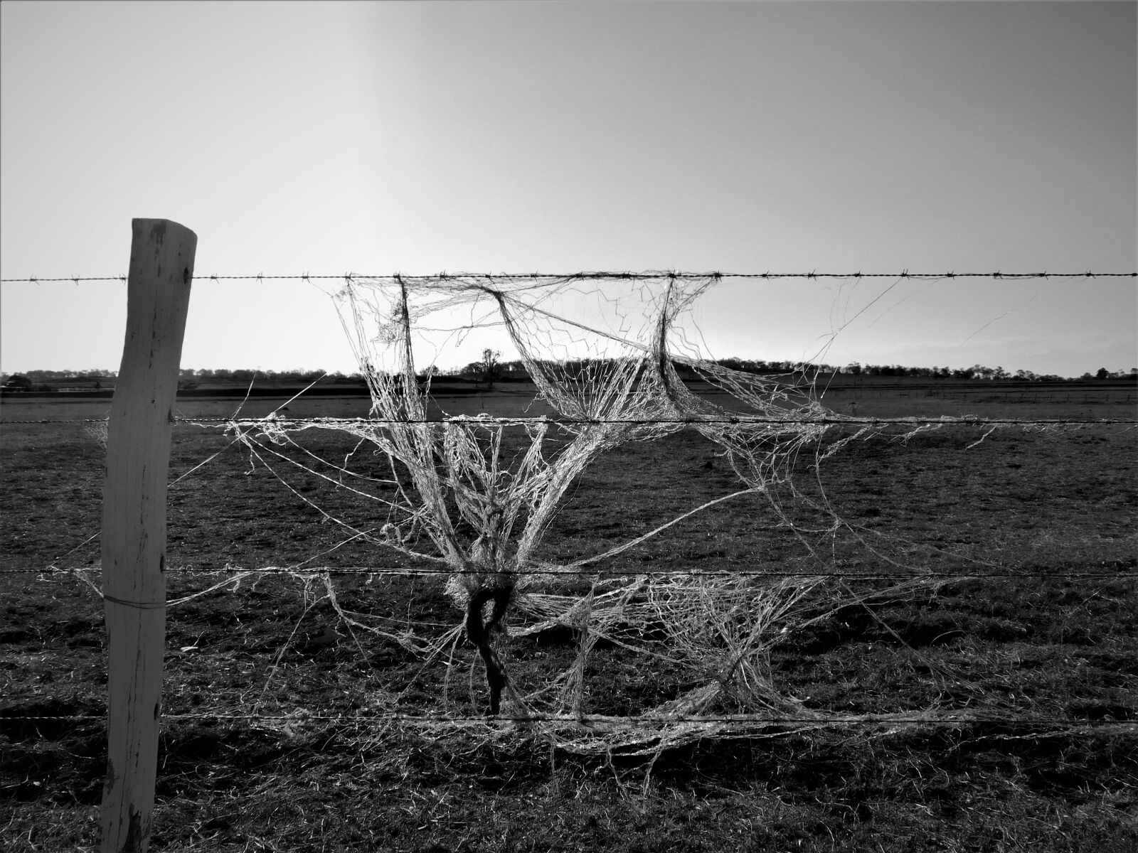 Nikon Coolpix B600 sample photo. Barbwire, fence, outback photography