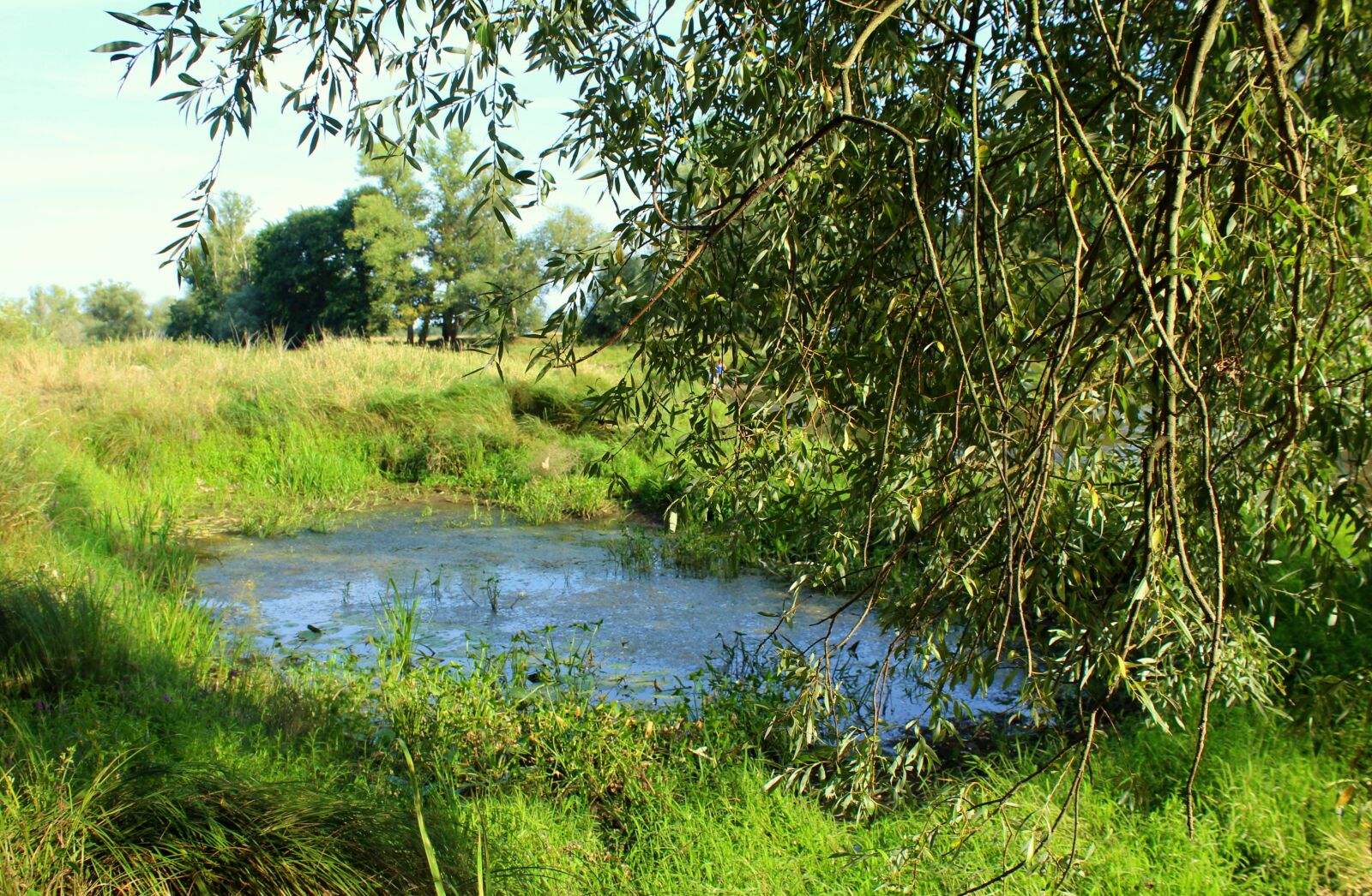 Canon EOS 1200D (EOS Rebel T5 / EOS Kiss X70 / EOS Hi) sample photo. Landscape, pond, the taj photography