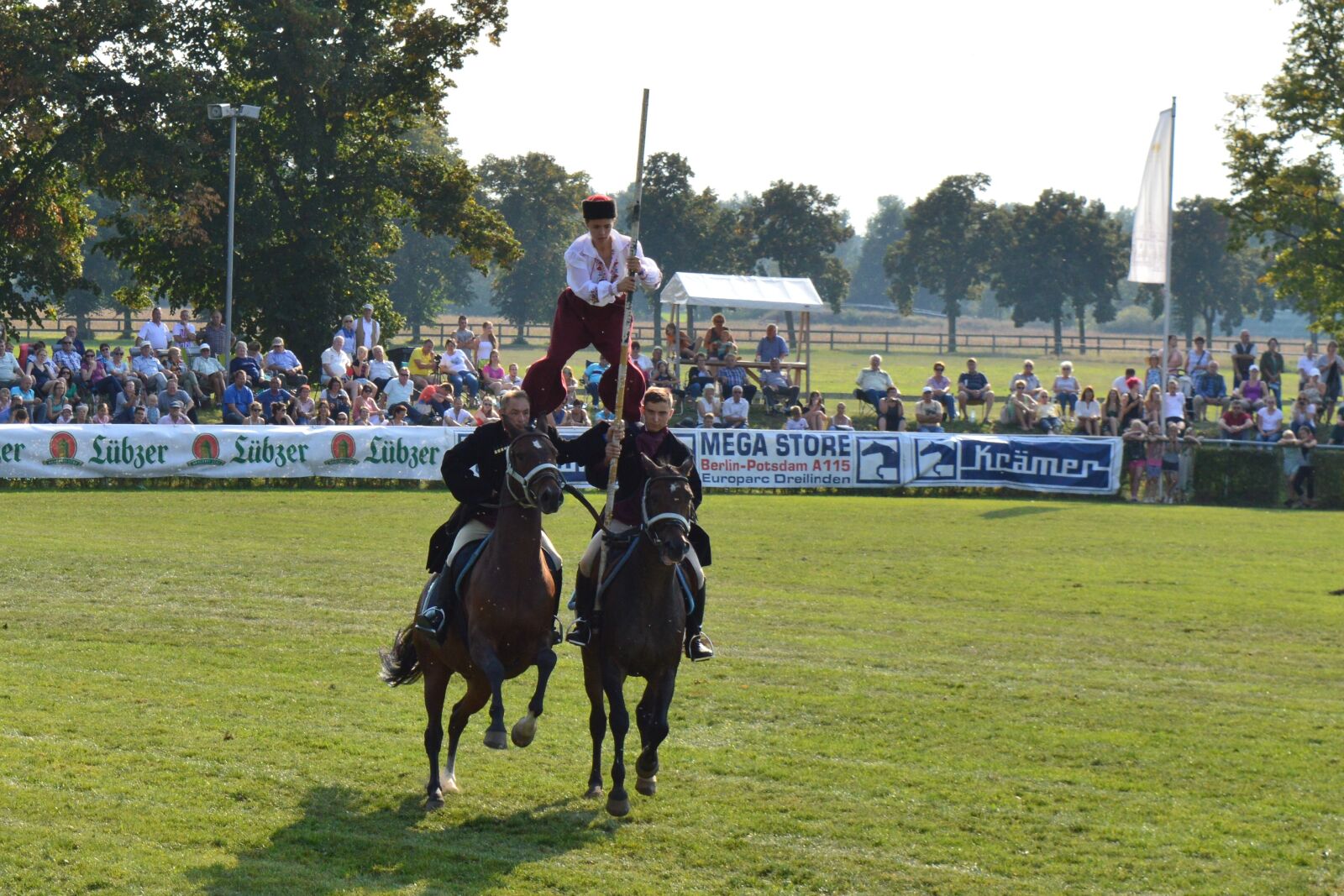 Nikon D3200 sample photo. Hungarian post, horse, kaltblut photography