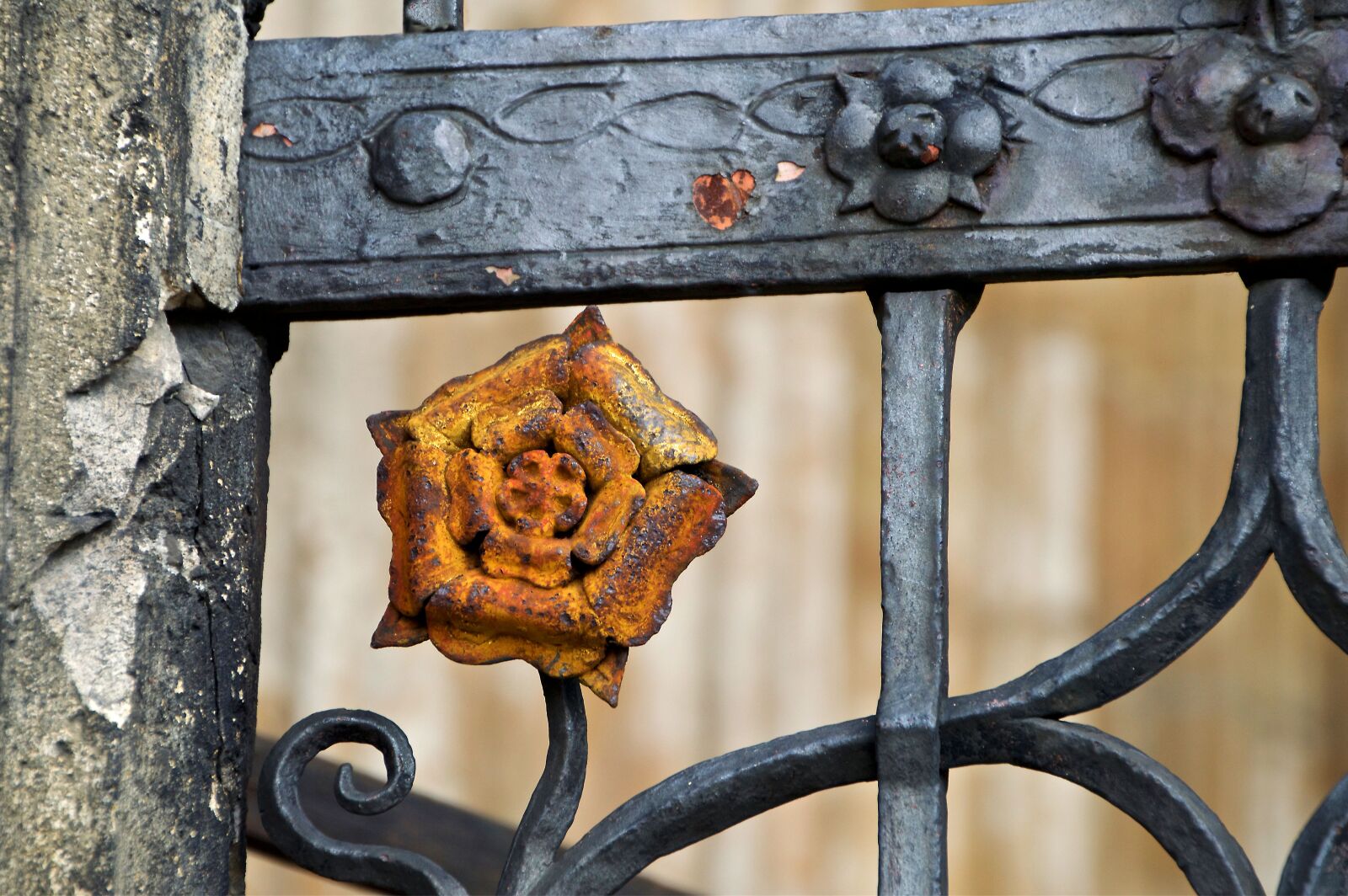 Nikon D3200 sample photo. Architecture, gothic, rose photography