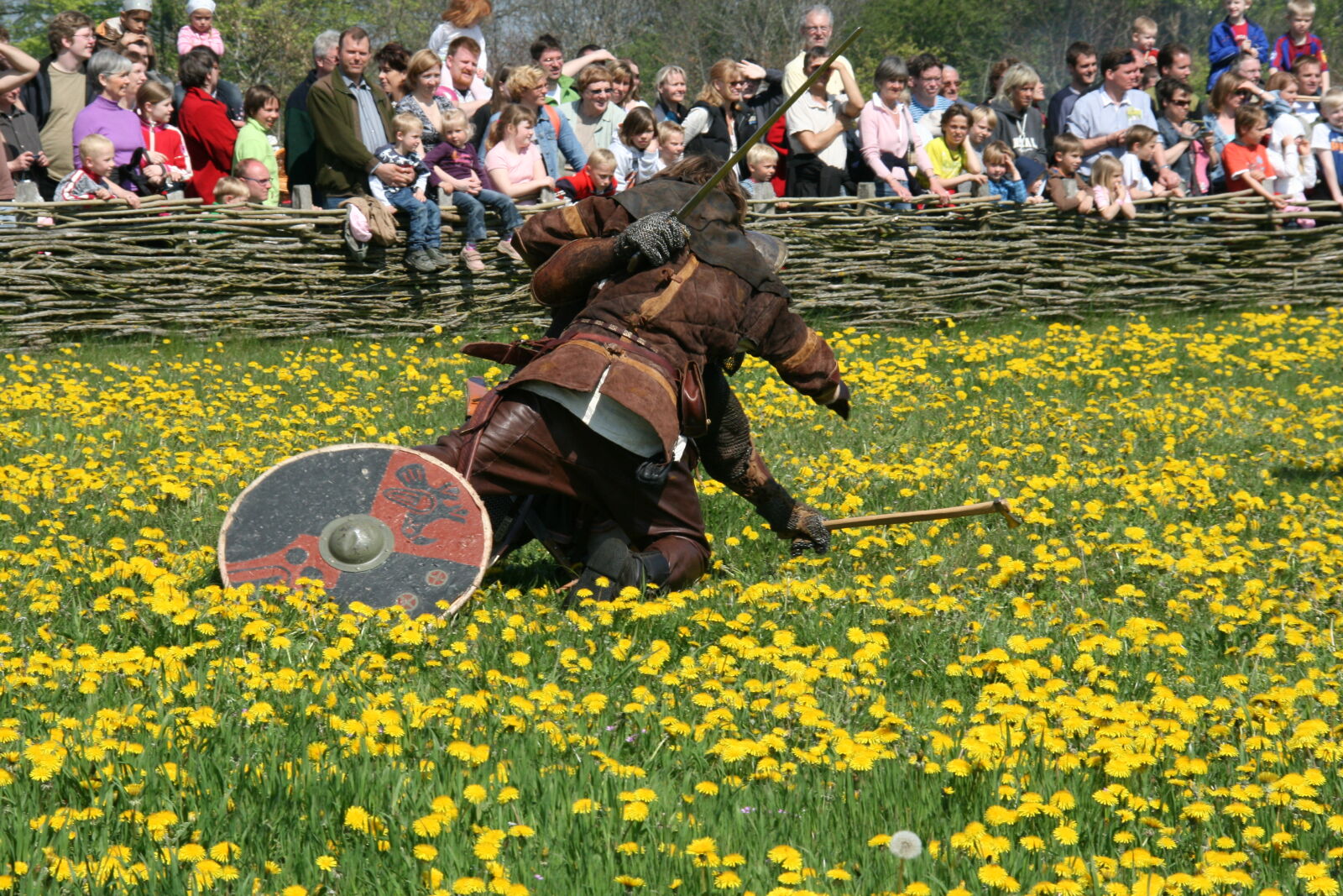 Sigma 18-200mm f/3.5-6.3 DC OS sample photo. Vikings photography