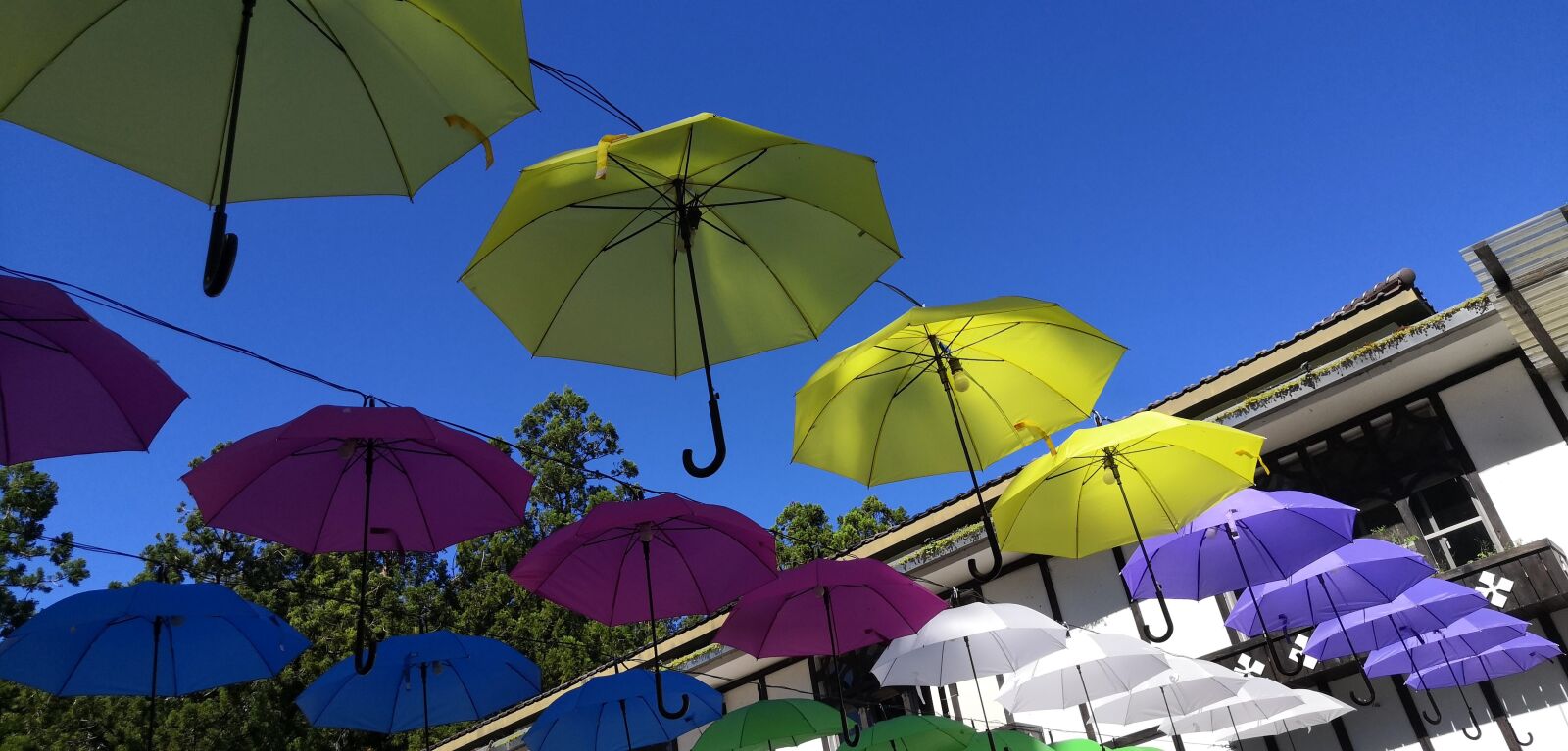 HUAWEI nova 3 sample photo. Umbrella, decoration, installation art photography