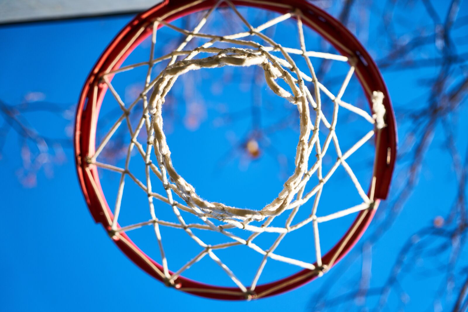 Sony a7R II sample photo. Basketball, number, file photography