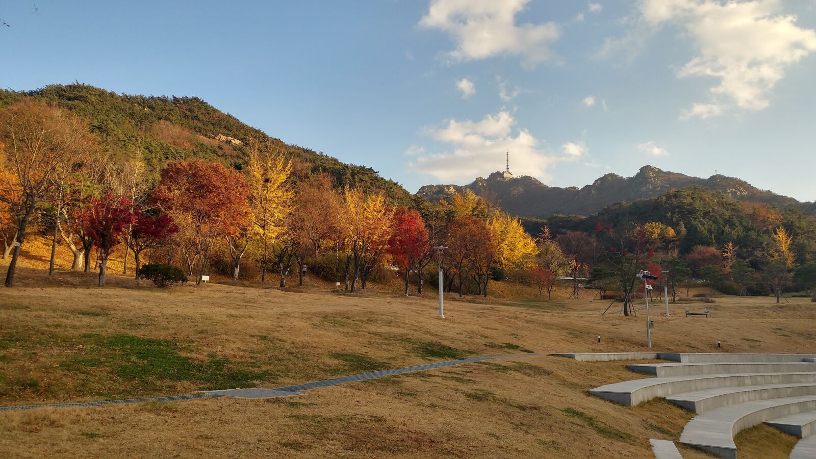 LG G5 sample photo. Seoul, autumn, willow country photography