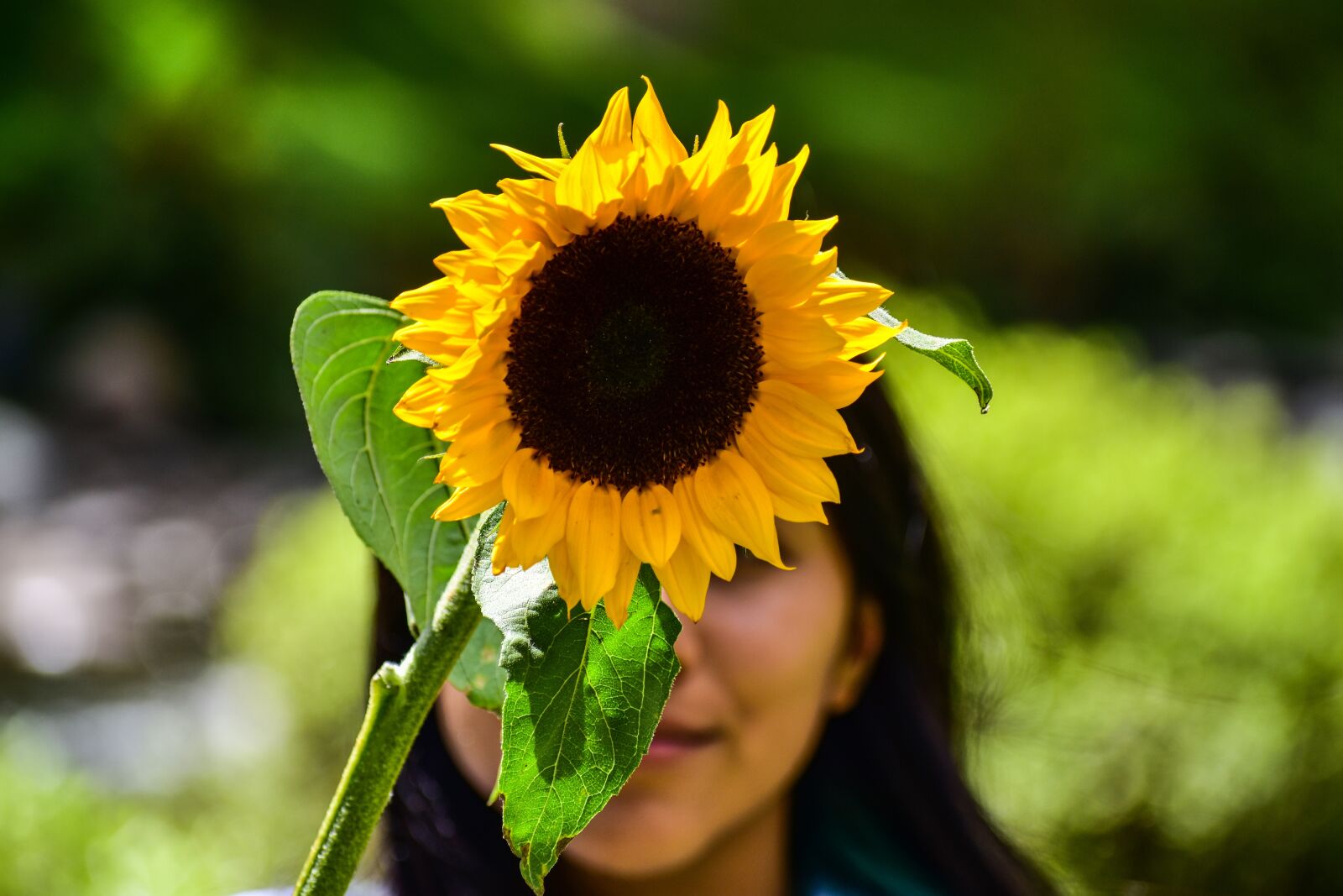 Nikon D3400 sample photo. Girl, sunflower, flower photography