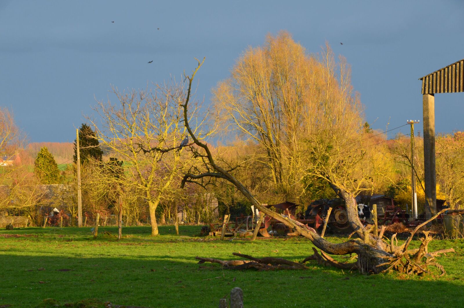 Nikon D3200 sample photo. Orage, lumière, lightning photography