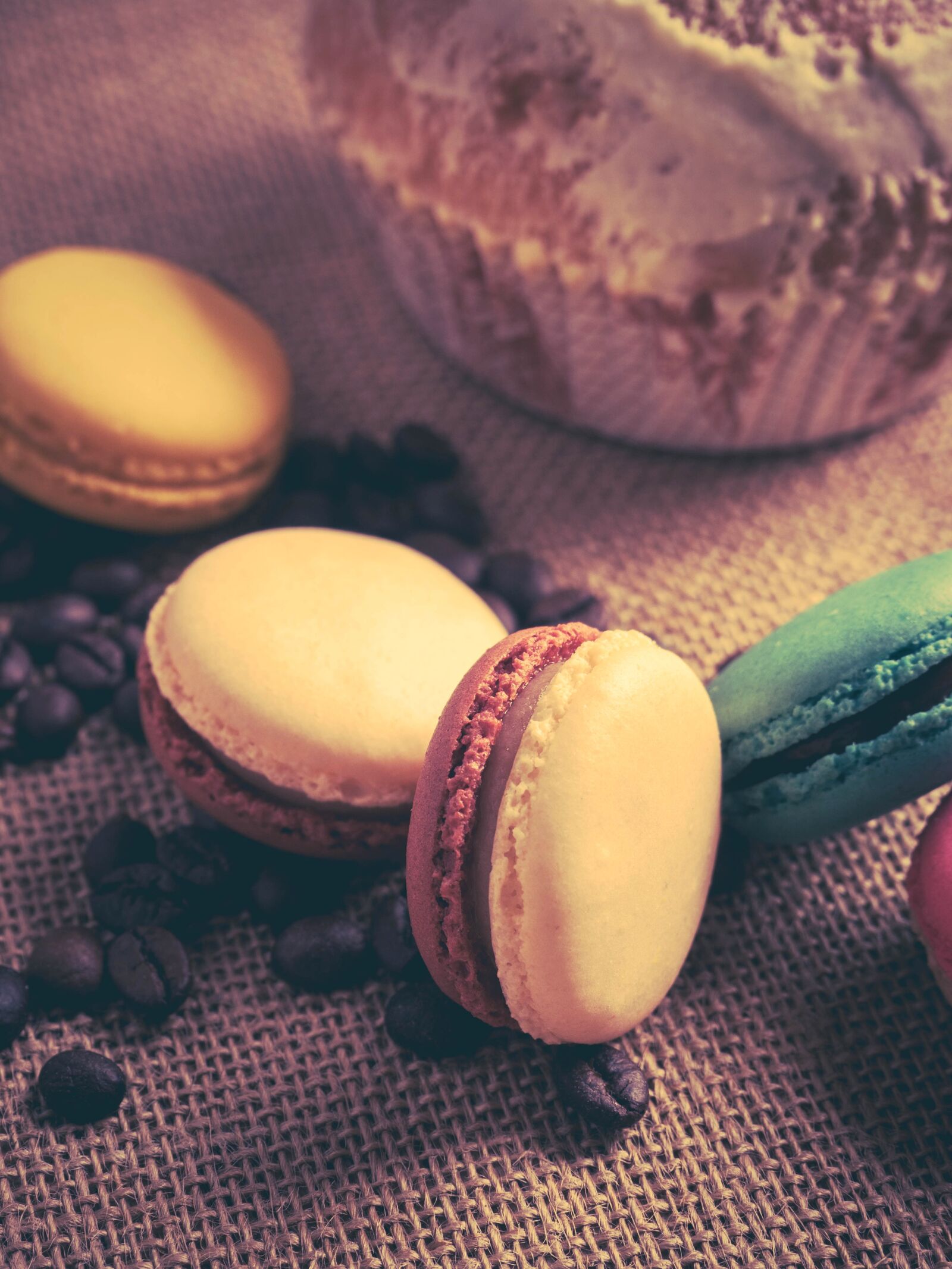 Olympus PEN E-PL7 sample photo. Macaron, dessert, bake photography