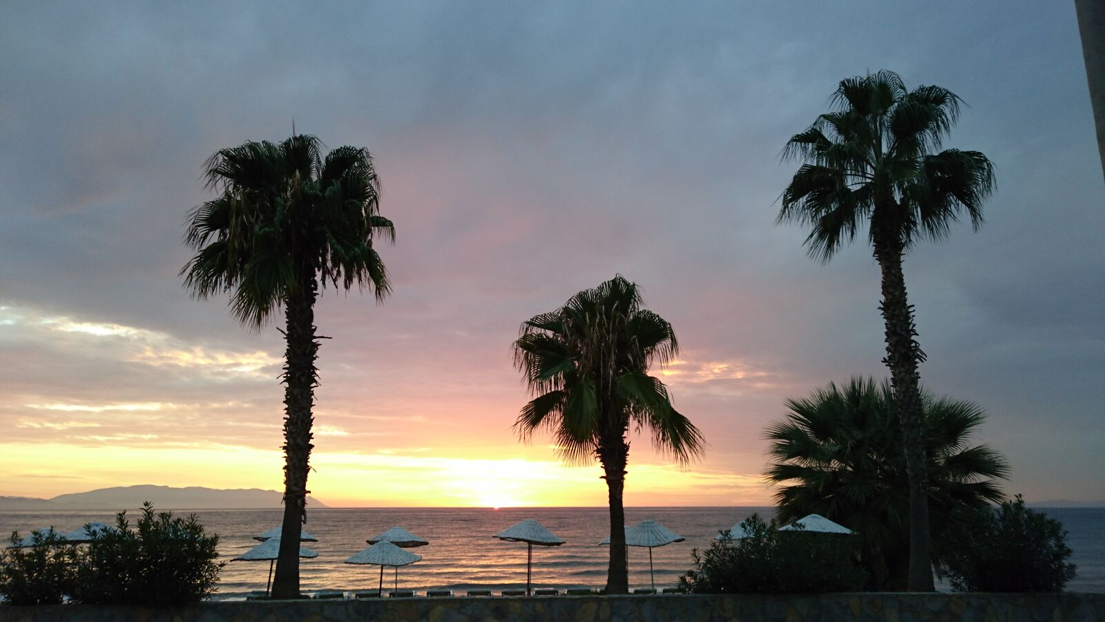 Sony Xperia Z3+ sample photo. Holiday, palms, sea, sunset photography