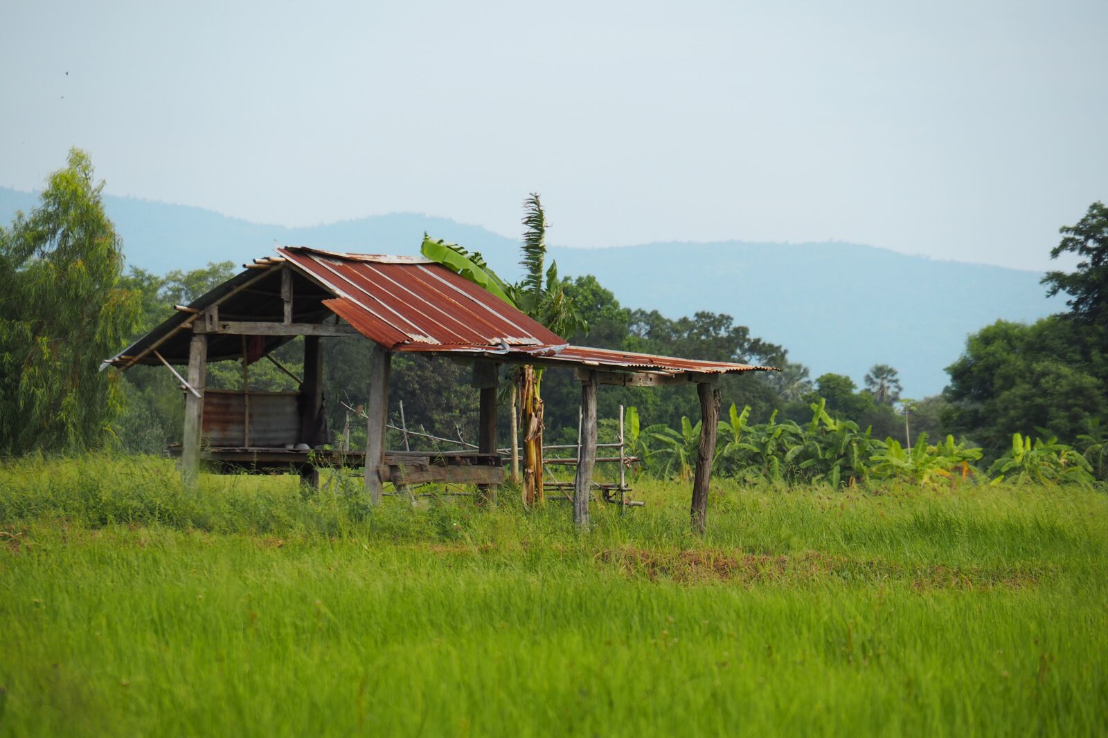 Olympus PEN E-PL7 sample photo. Hut, farm, cottage photography