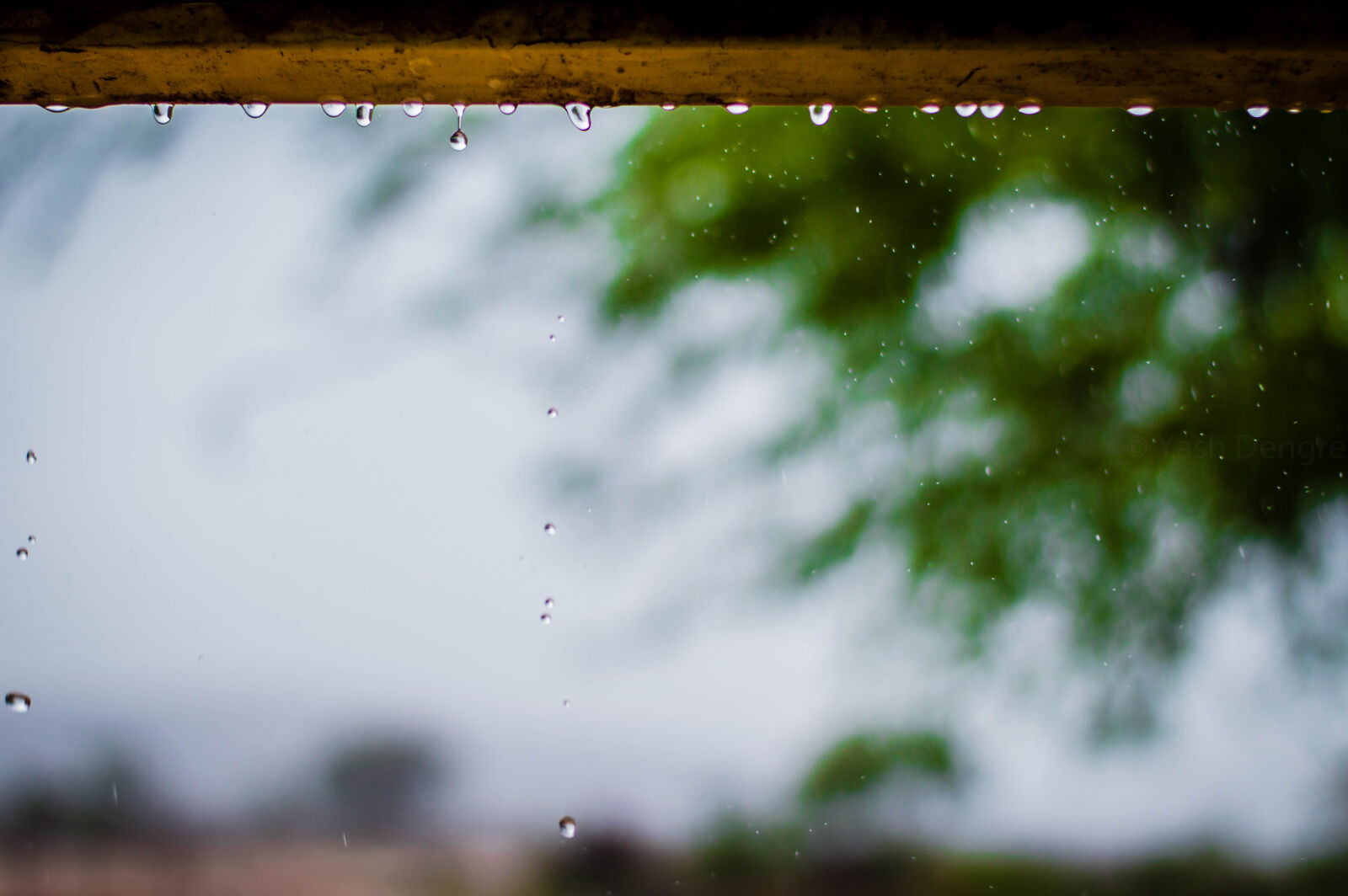 Nikon D3200 sample photo. Photography, of, rainy, weather photography