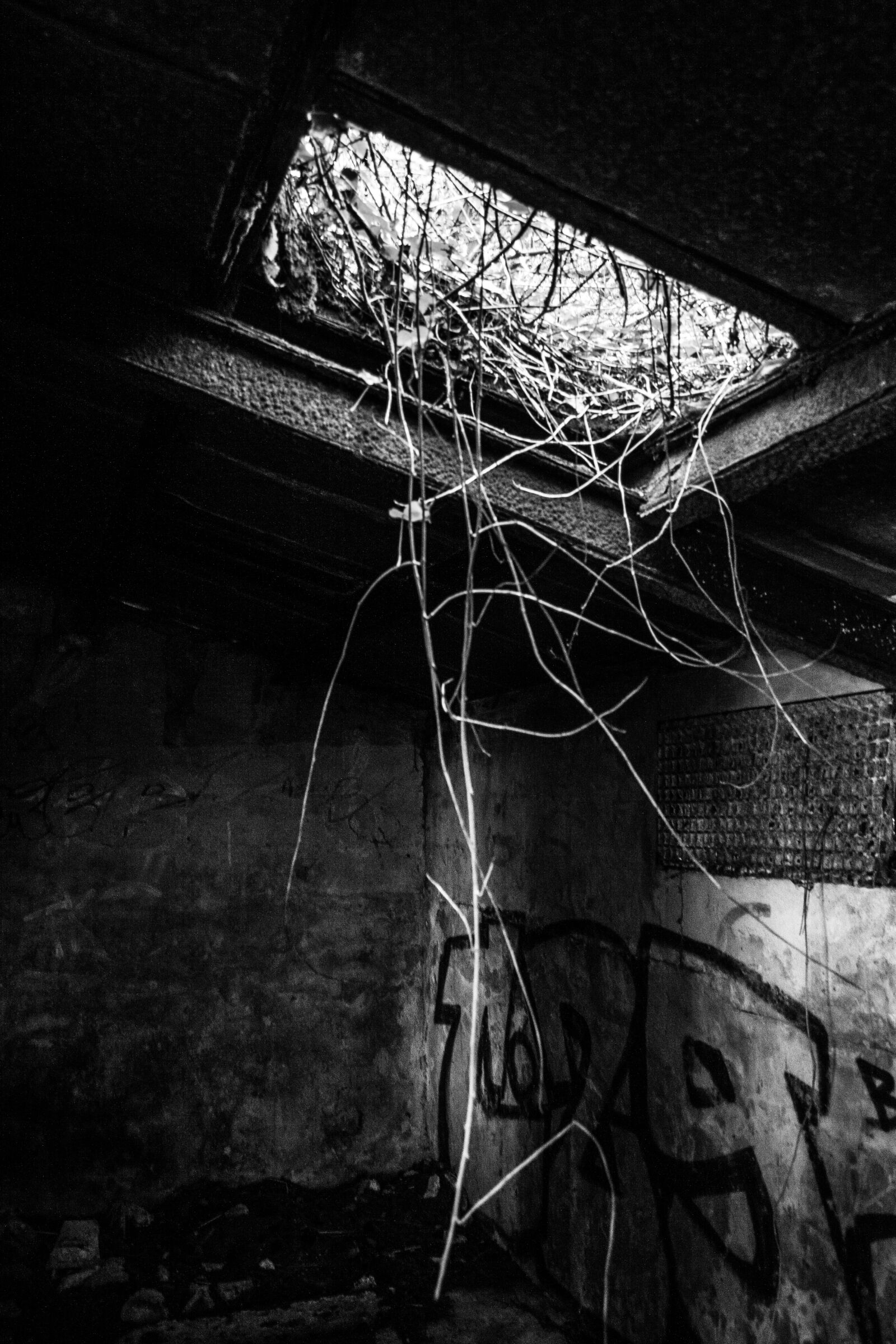 Canon EF-S 18-55mm F3.5-5.6 II sample photo. Urbex, abandoned, house photography