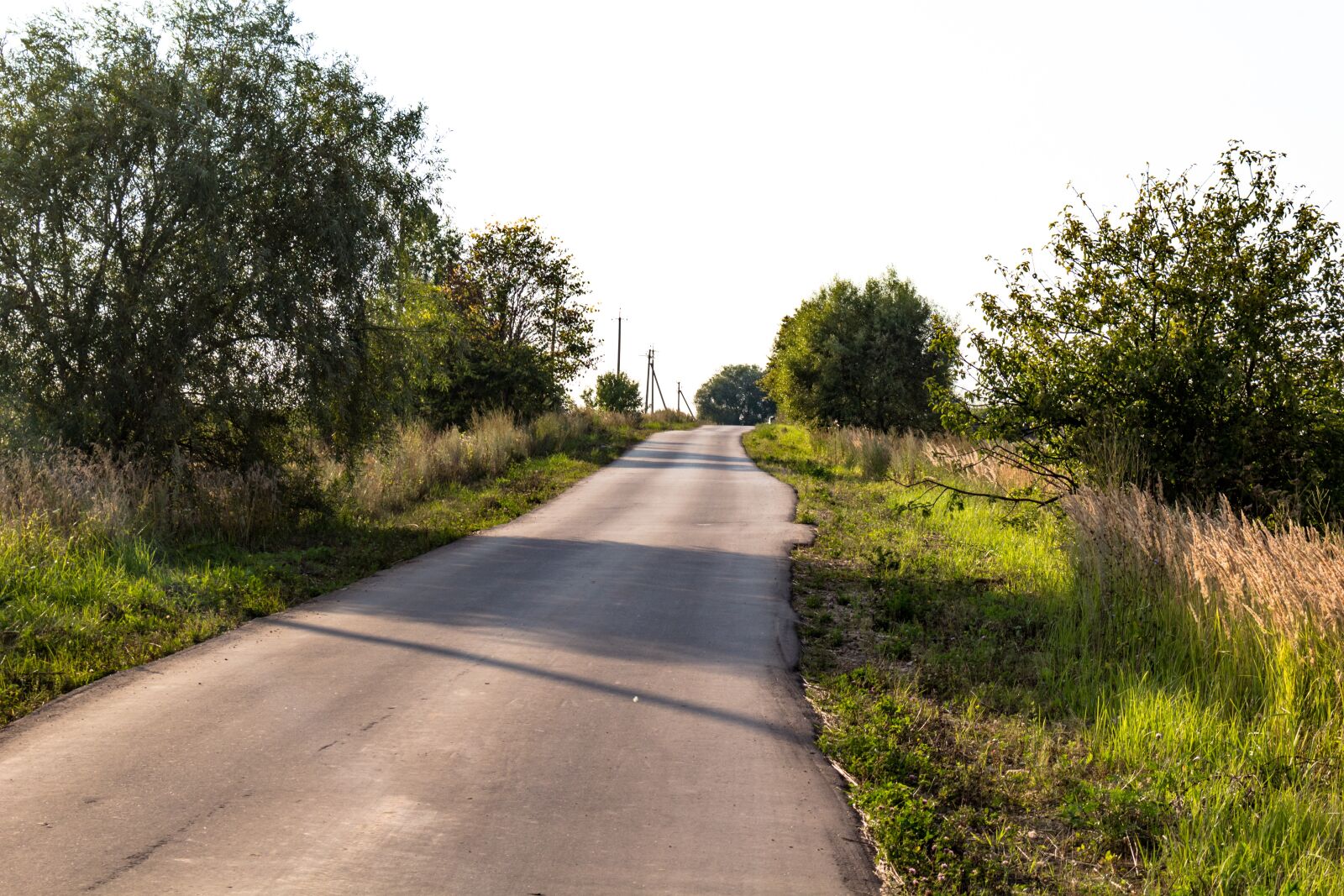 Canon EOS 100D (EOS Rebel SL1 / EOS Kiss X7) sample photo. Rural, road, wilderness photography