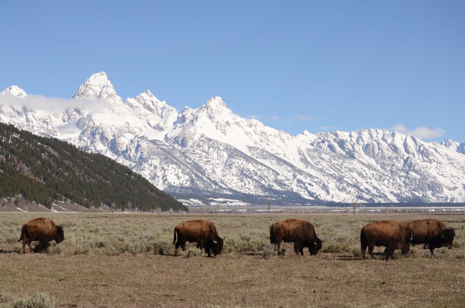 Nikon D7000 sample photo. Tetons, teton mountains, jackson photography