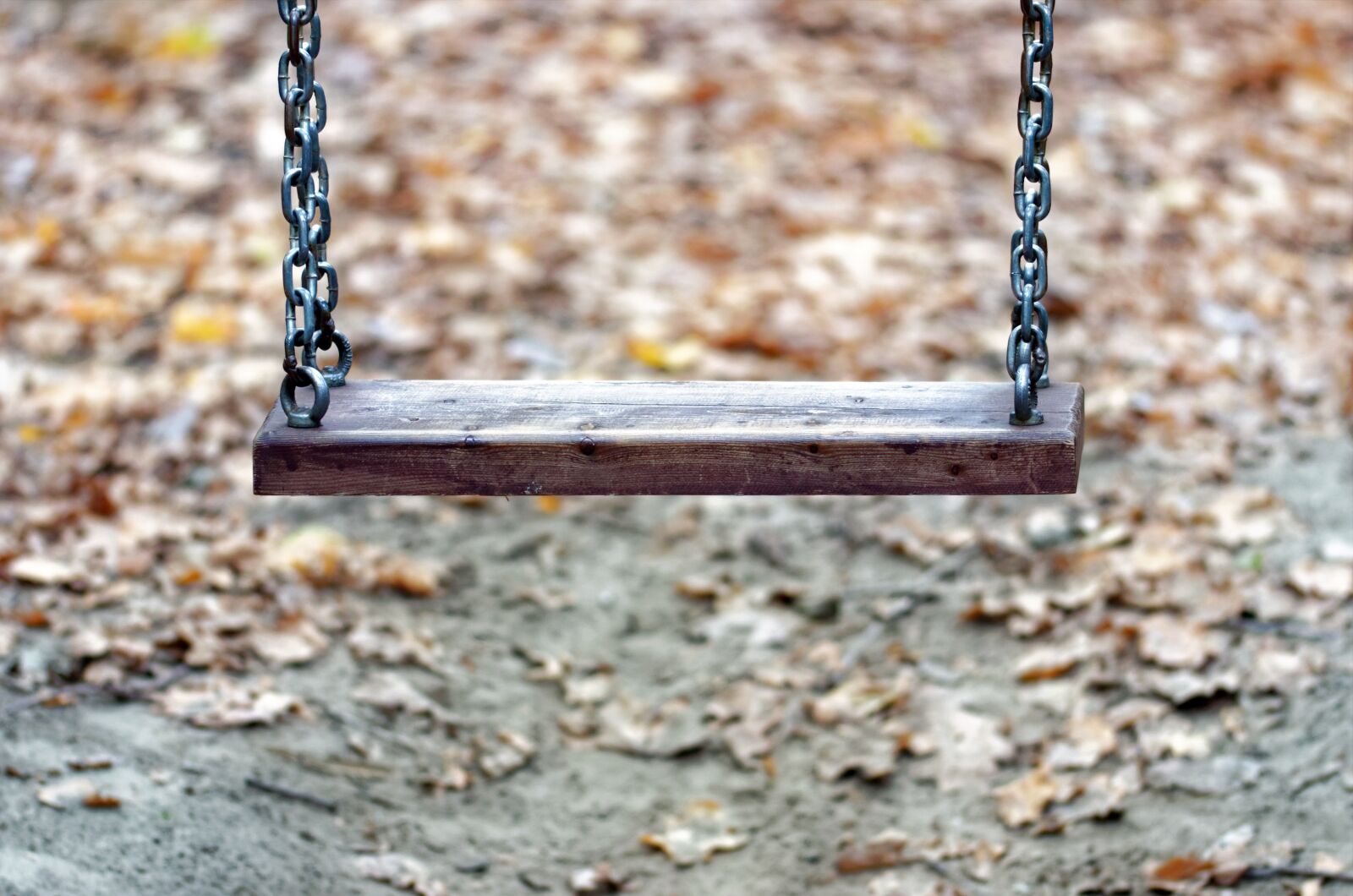 Nikon D5100 sample photo. Swing, plank, wood photography