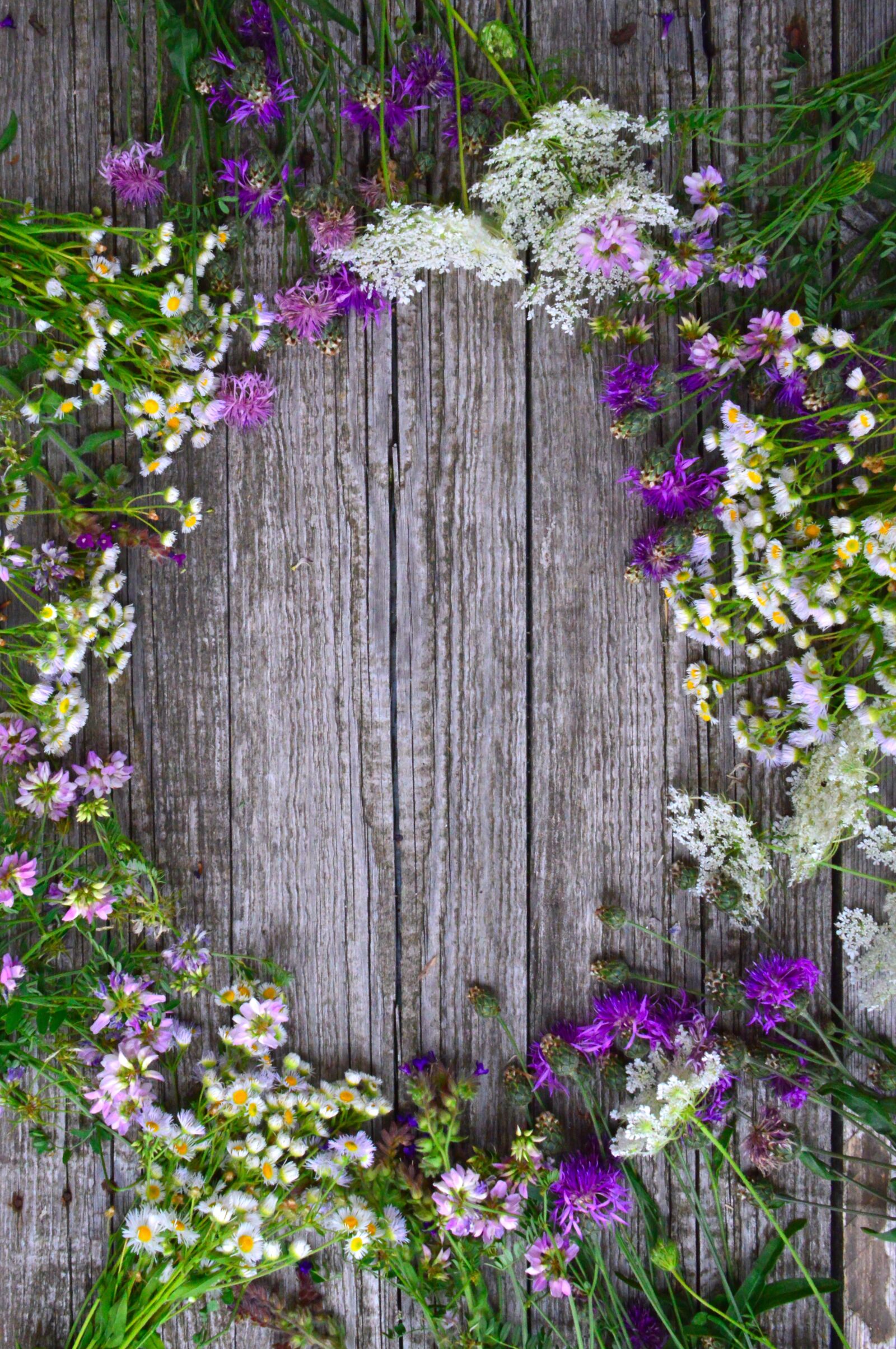 Nikon D3200 sample photo. Color, bouquet, summer flowers photography