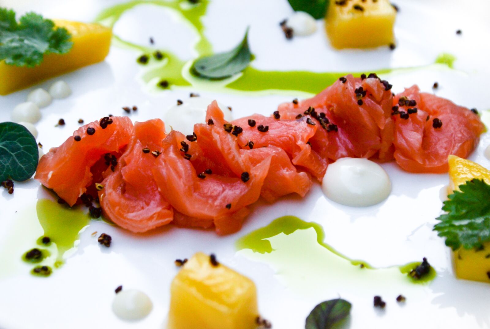 Nikon D610 sample photo. Salmon, food, dish photography