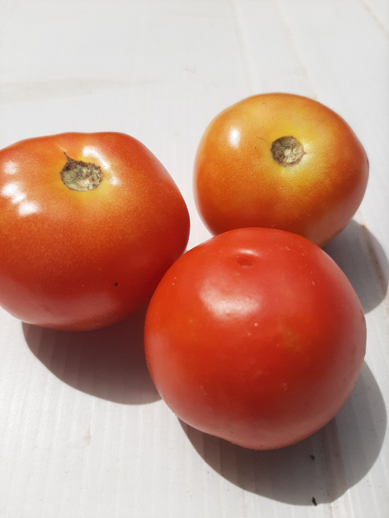 Samsung SM-A505F sample photo. Tomato, vegetable, leafy vegetables photography