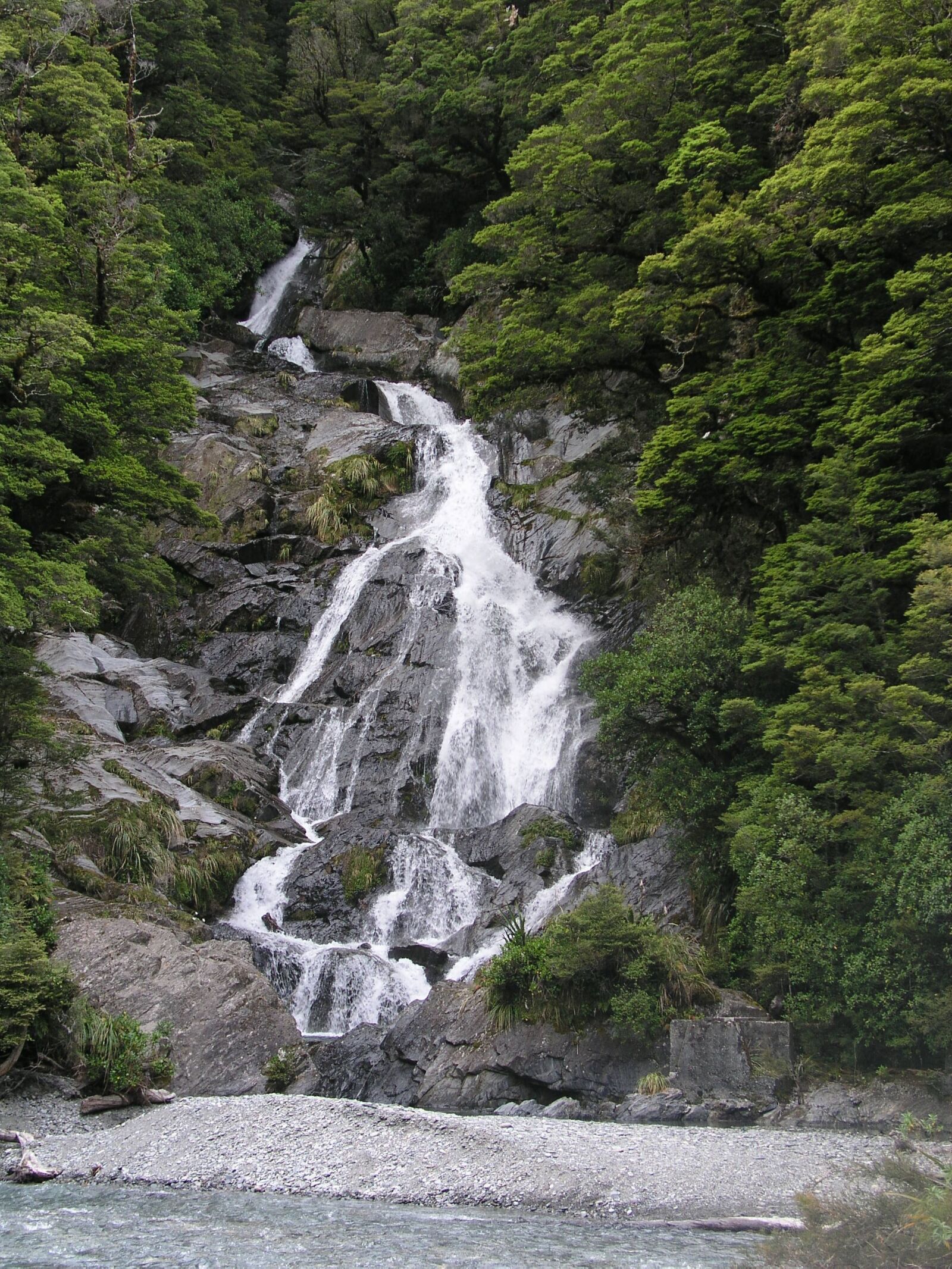 Olympus C5050Z sample photo. New zealand, new, zealand photography