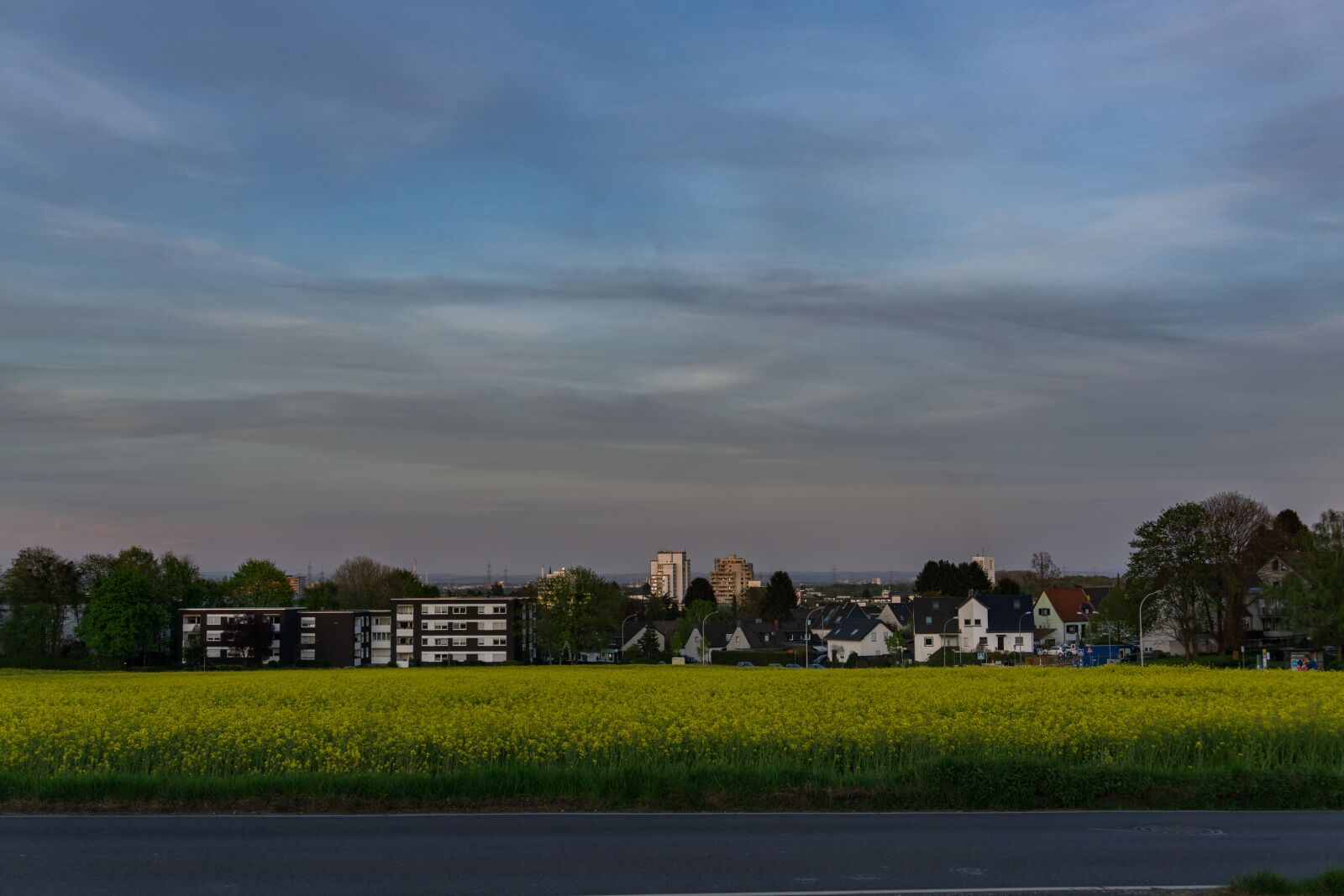 Sony a6000 sample photo. Field of rapeseeds, city photography