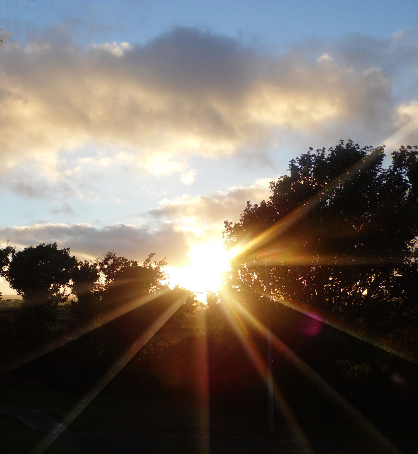 Samsung WB100/  WB101 sample photo