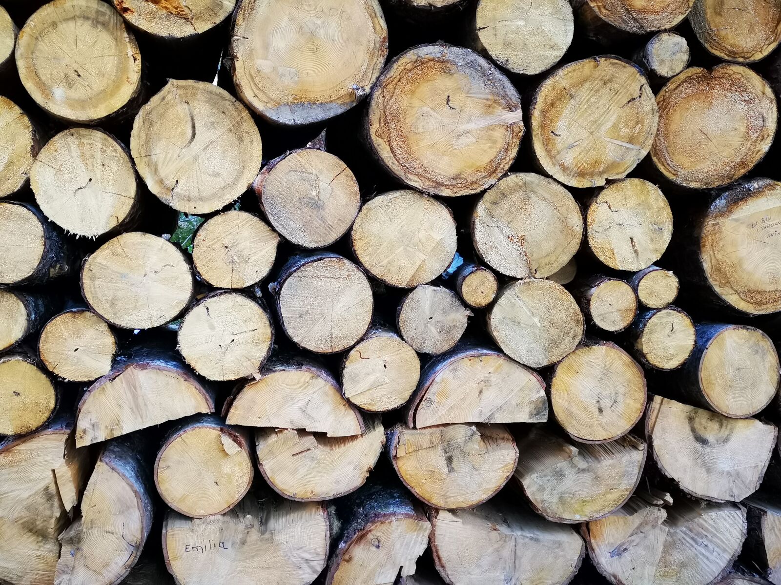 HUAWEI HMA-L29 sample photo. Wood, trees, firewood photography