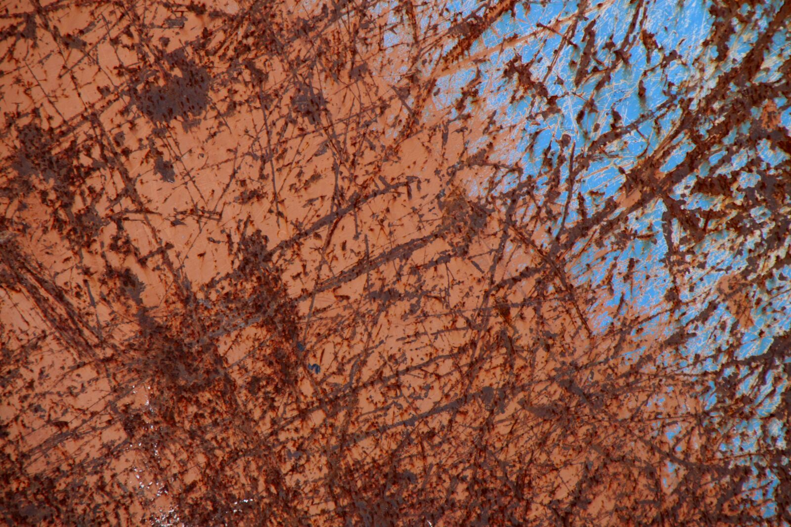 Canon EOS 50D sample photo. Abstract, model, tree photography