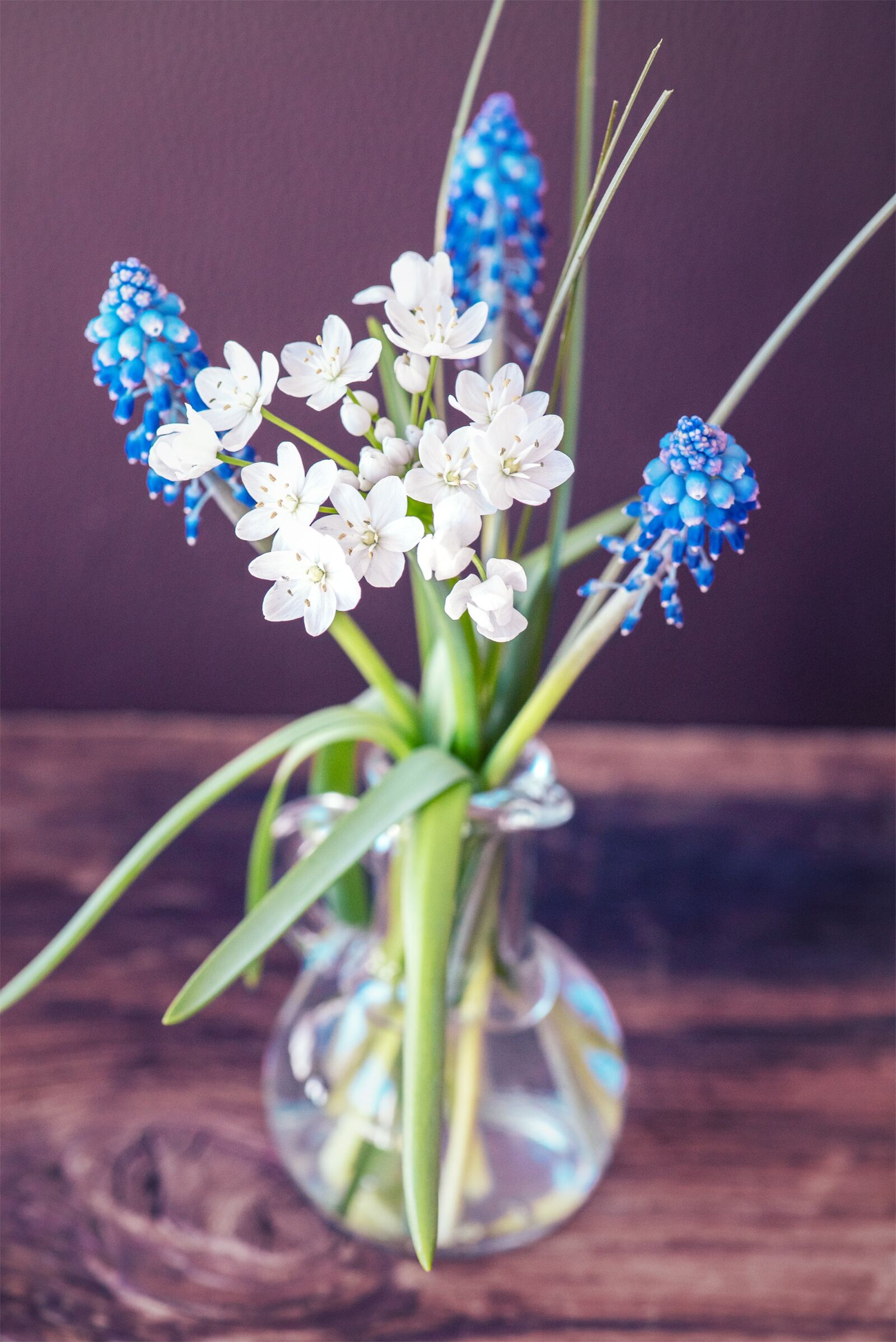 Nikon D750 sample photo. Flowers, spring flowers, vase photography