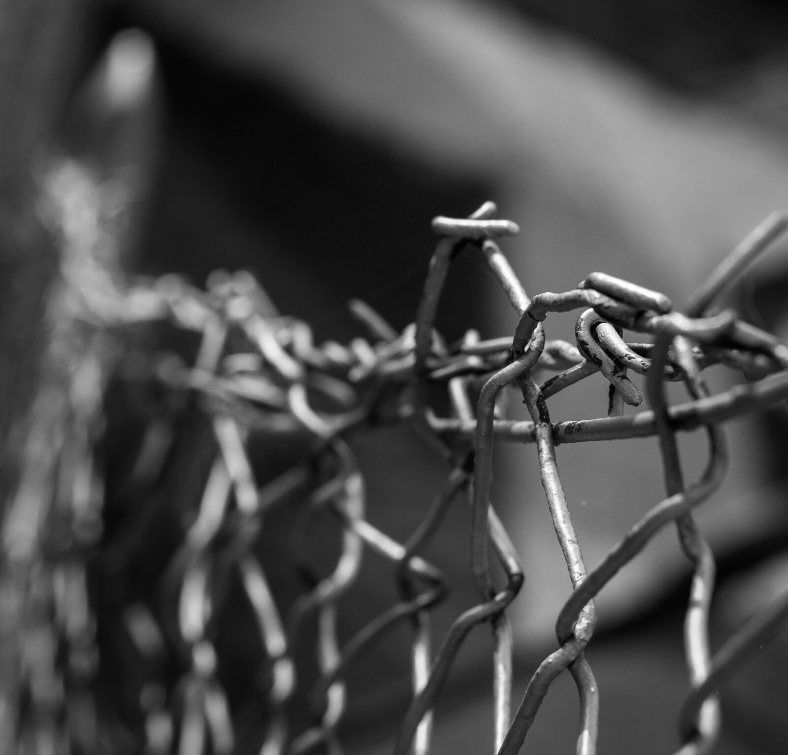 Canon EOS 700D (EOS Rebel T5i / EOS Kiss X7i) + Canon EF 50mm F1.8 STM sample photo. Wires, black and white photography