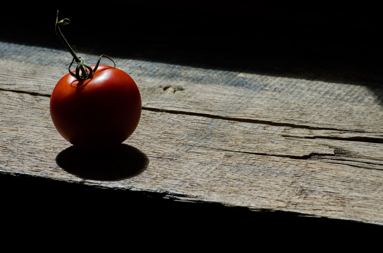 Nikon D5100 sample photo. Tomato, contrast, product photography