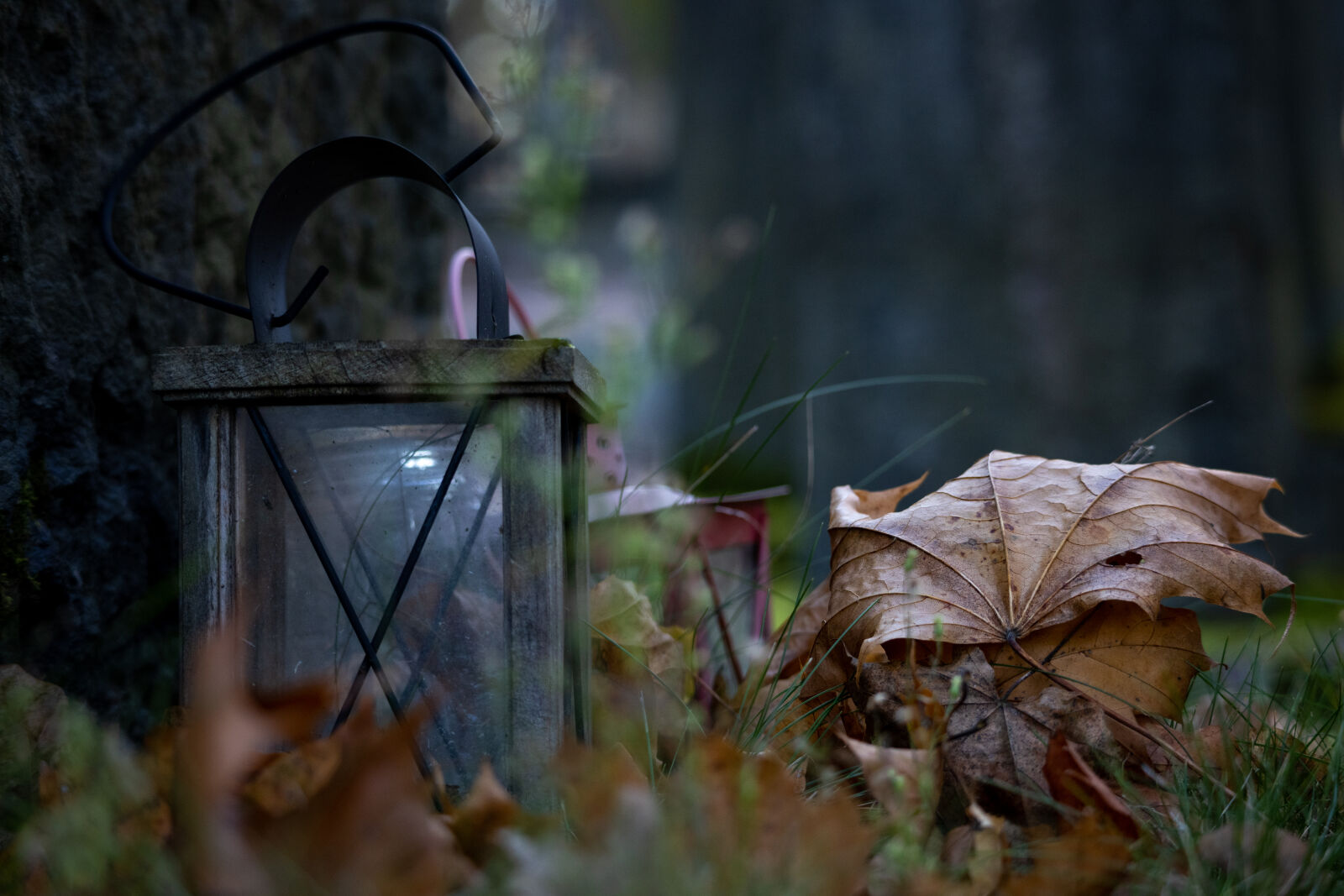 Canon EOS R5 sample photo. Autumn gloom photography