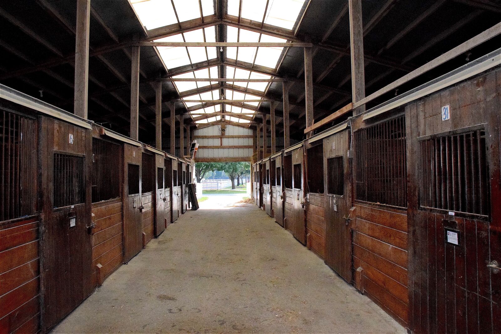 Nikon D3300 sample photo. Stable, horse, rural photography